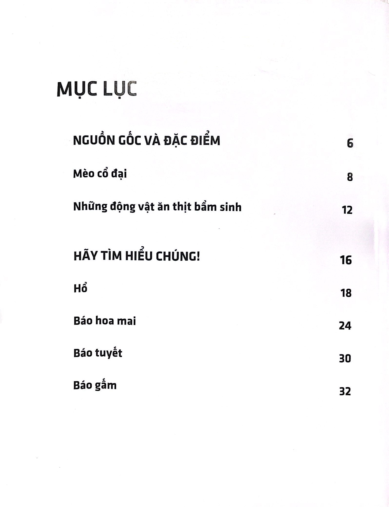 sách 3d: những loài thú lớn họ mèo