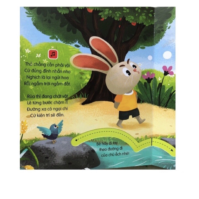 sách âm thanh - thỏ và rùa