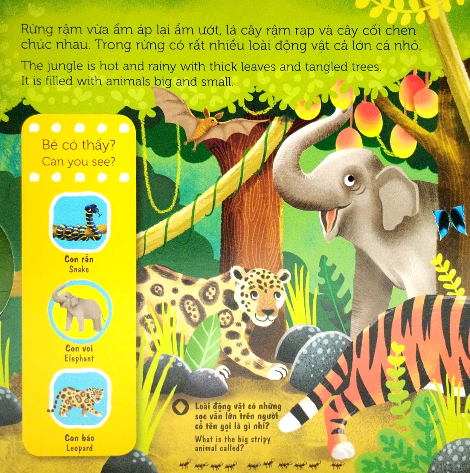 sách chuyển động - first explorers - in the jungle - trong khu rừng