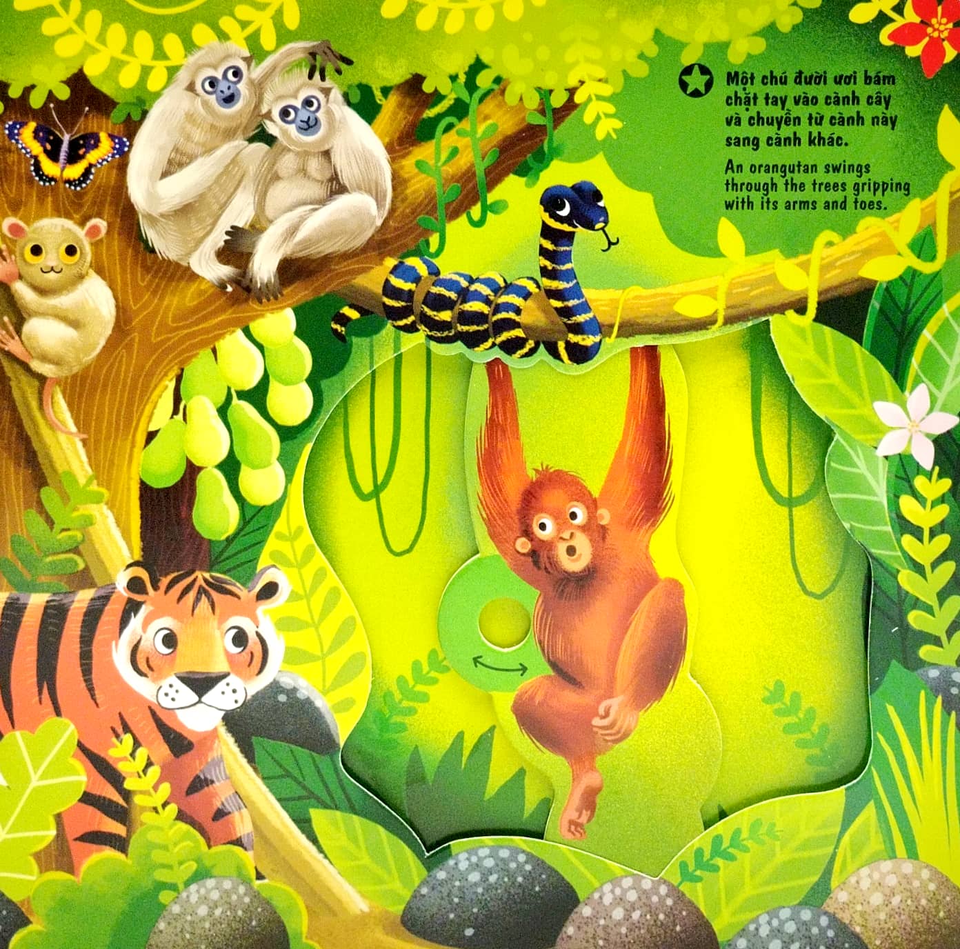 sách chuyển động - first explorers - in the jungle - trong khu rừng