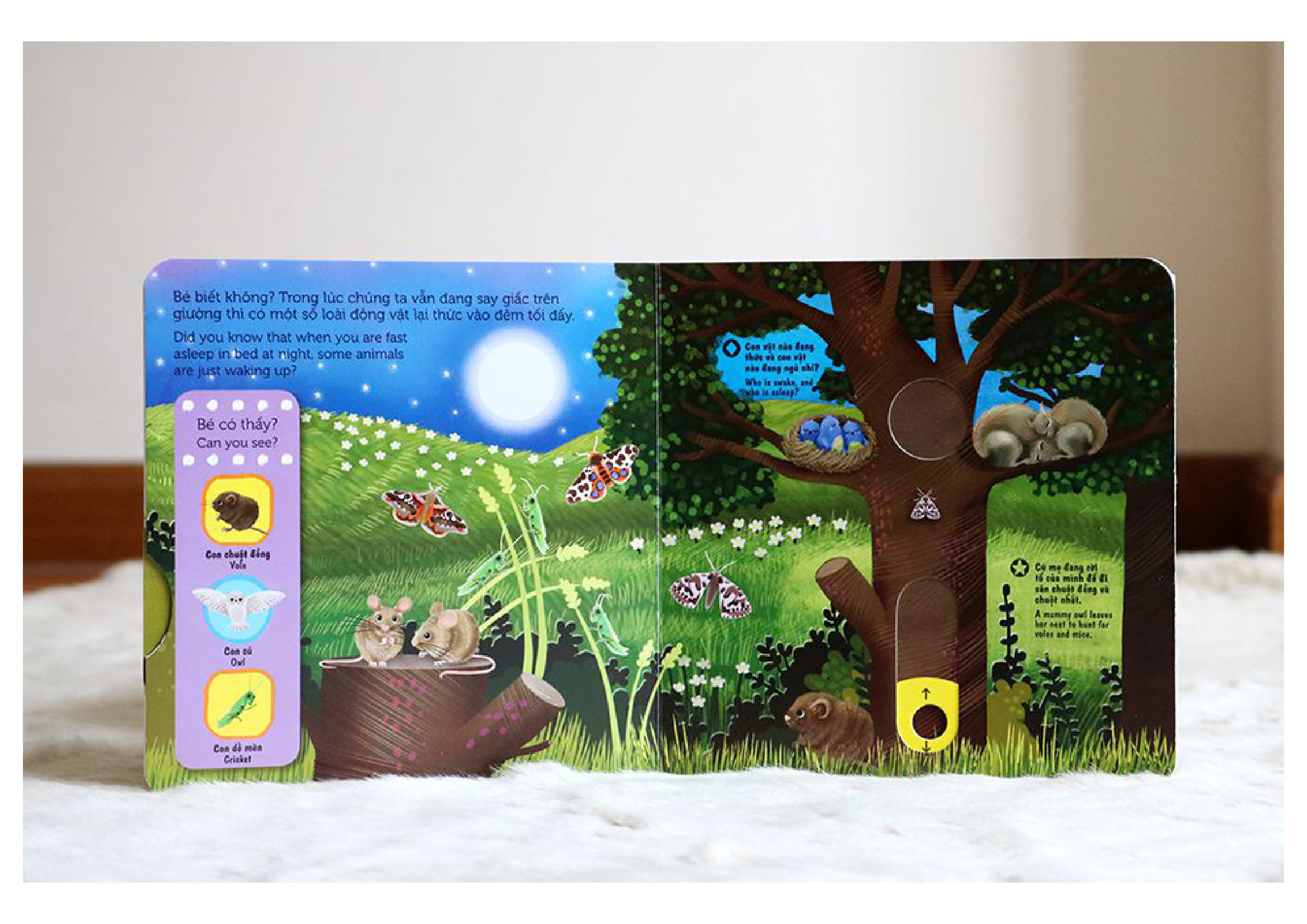 Sach Chuyen Dong - First Explorers - Night Animals - Dong Vat Ban Dem