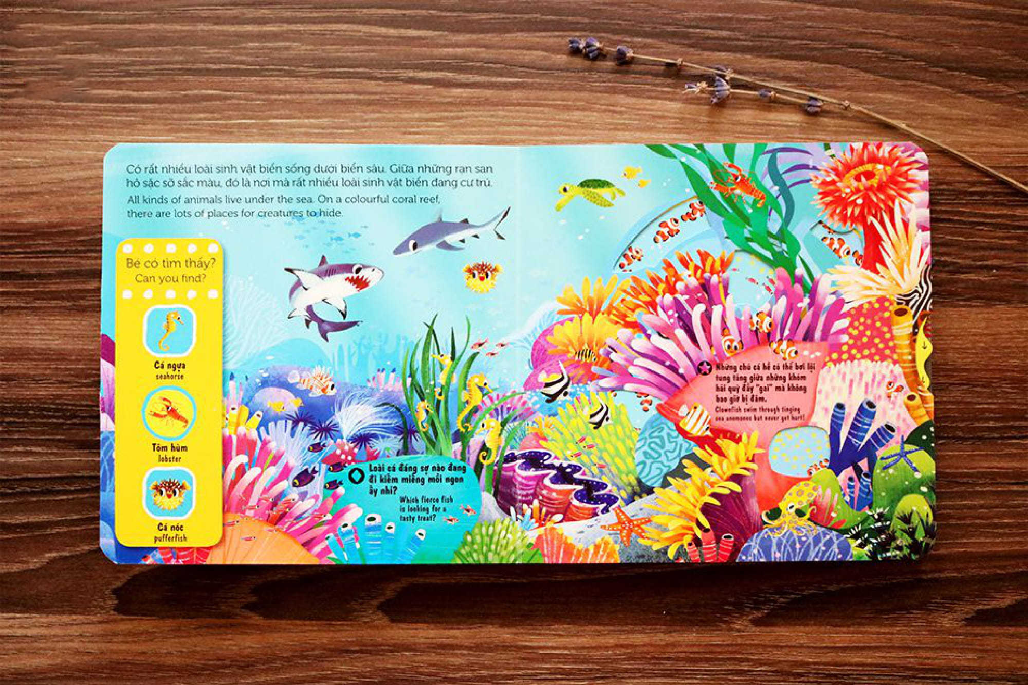 sách chuyển động - first explorers - sea creatures - sinh vật biển