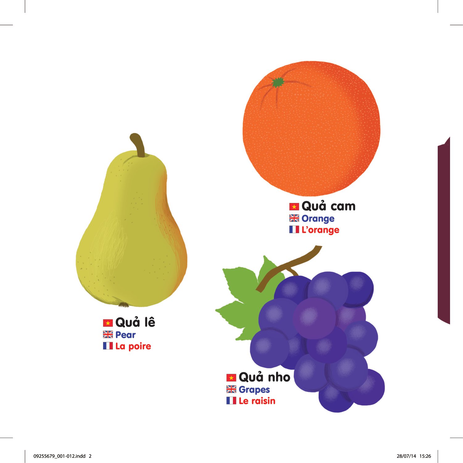 sách chuyển động thông minh đa ngữ việt - anh - pháp: các loại hoa quả - fruits - les fruits (tái bản)