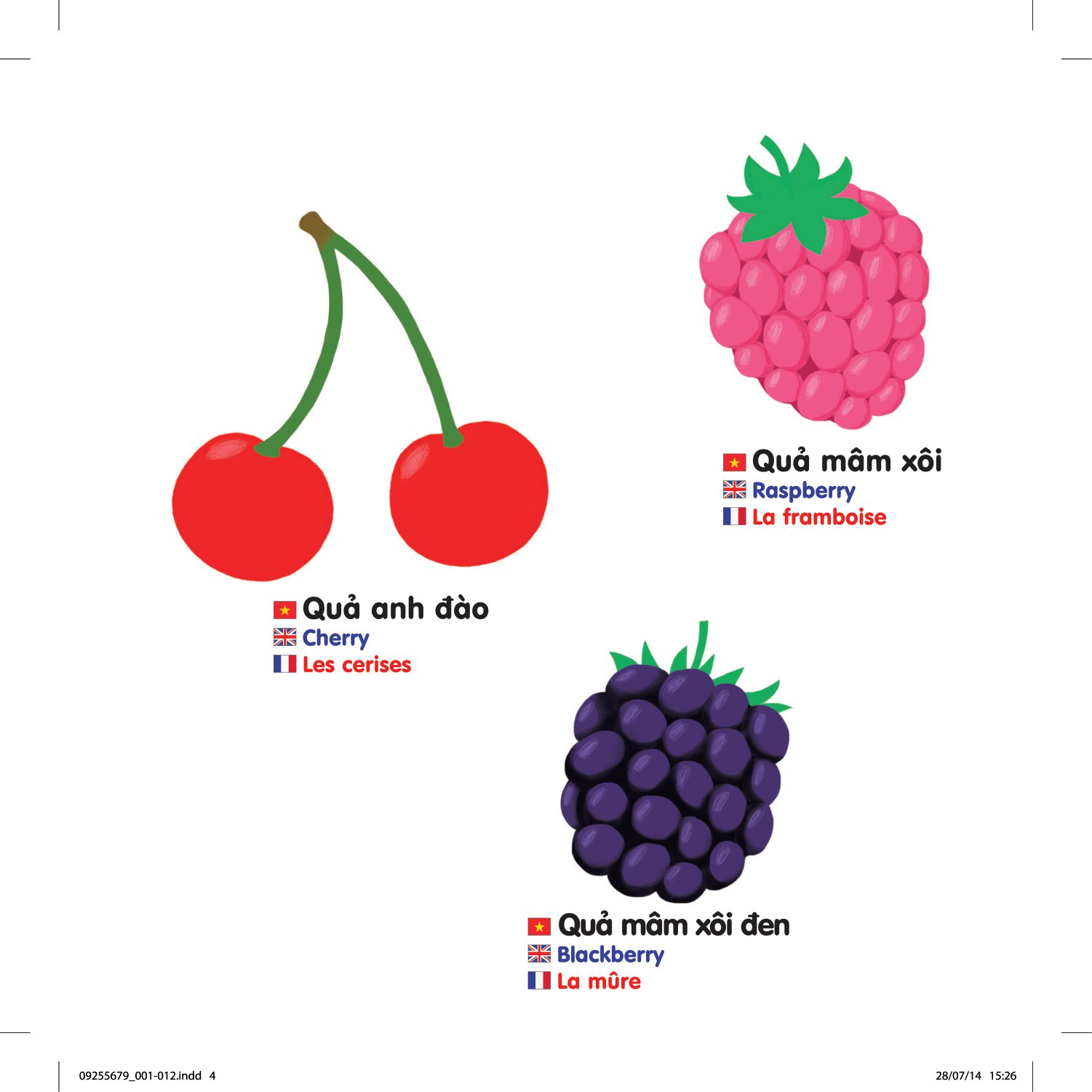 sách chuyển động thông minh đa ngữ việt - anh - pháp: các loại hoa quả - fruits - les fruits (tái bản)