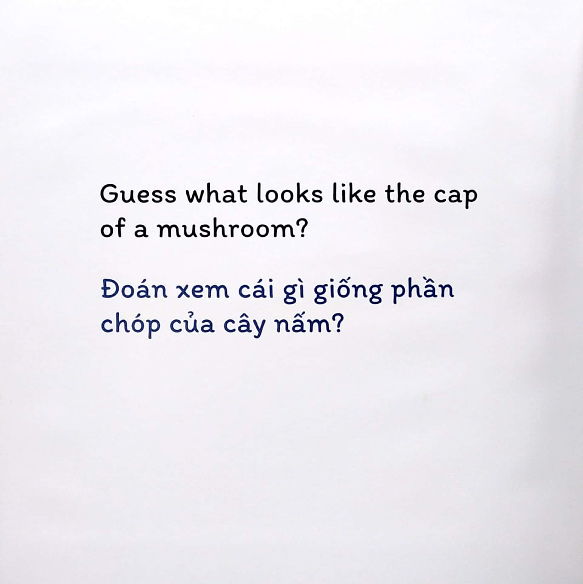 sách đố vui lật giở song ngữ - đoán xem là gì?