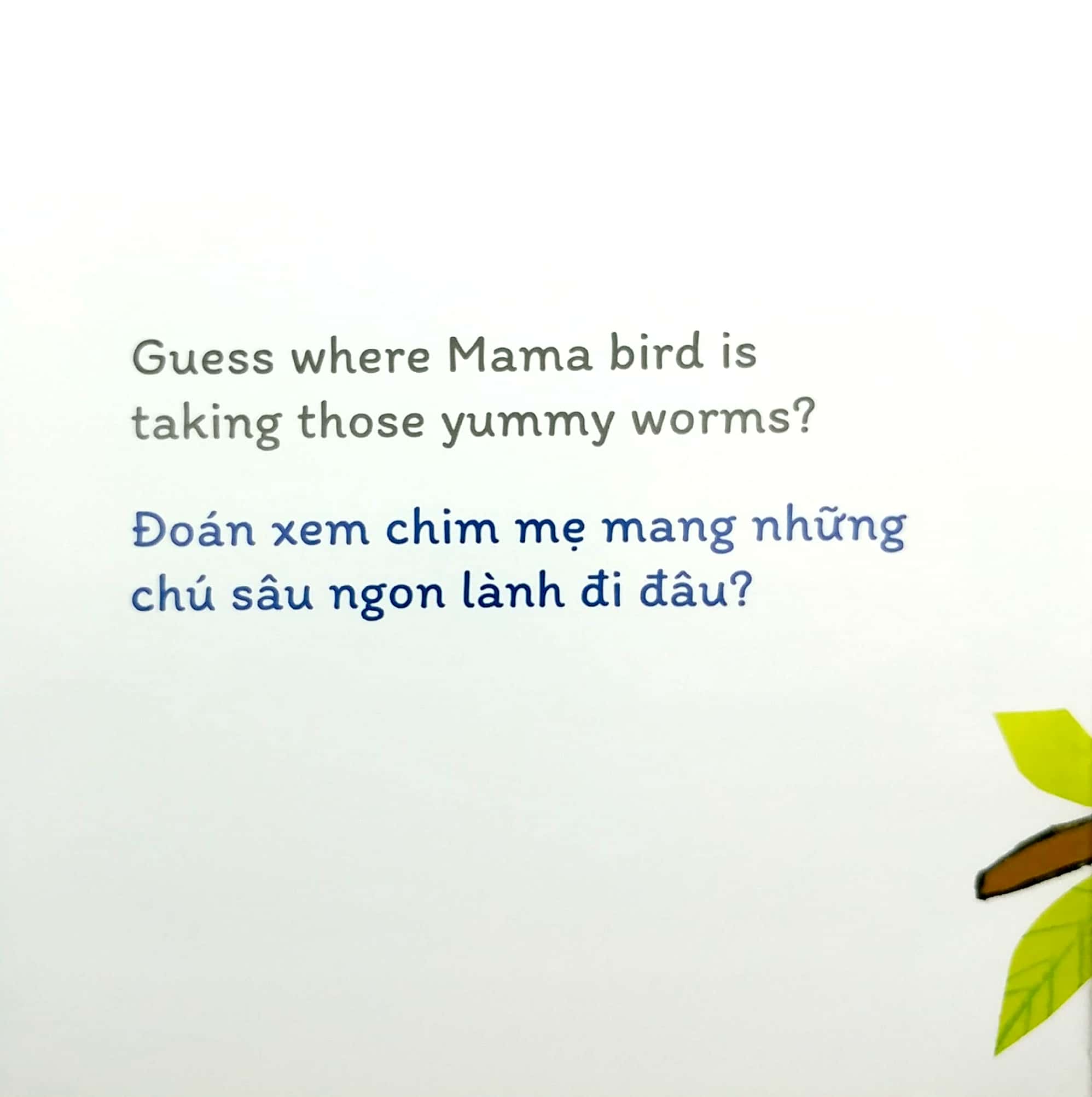 sách đố vui lật giở song ngữ - đoán xem ở đâu?