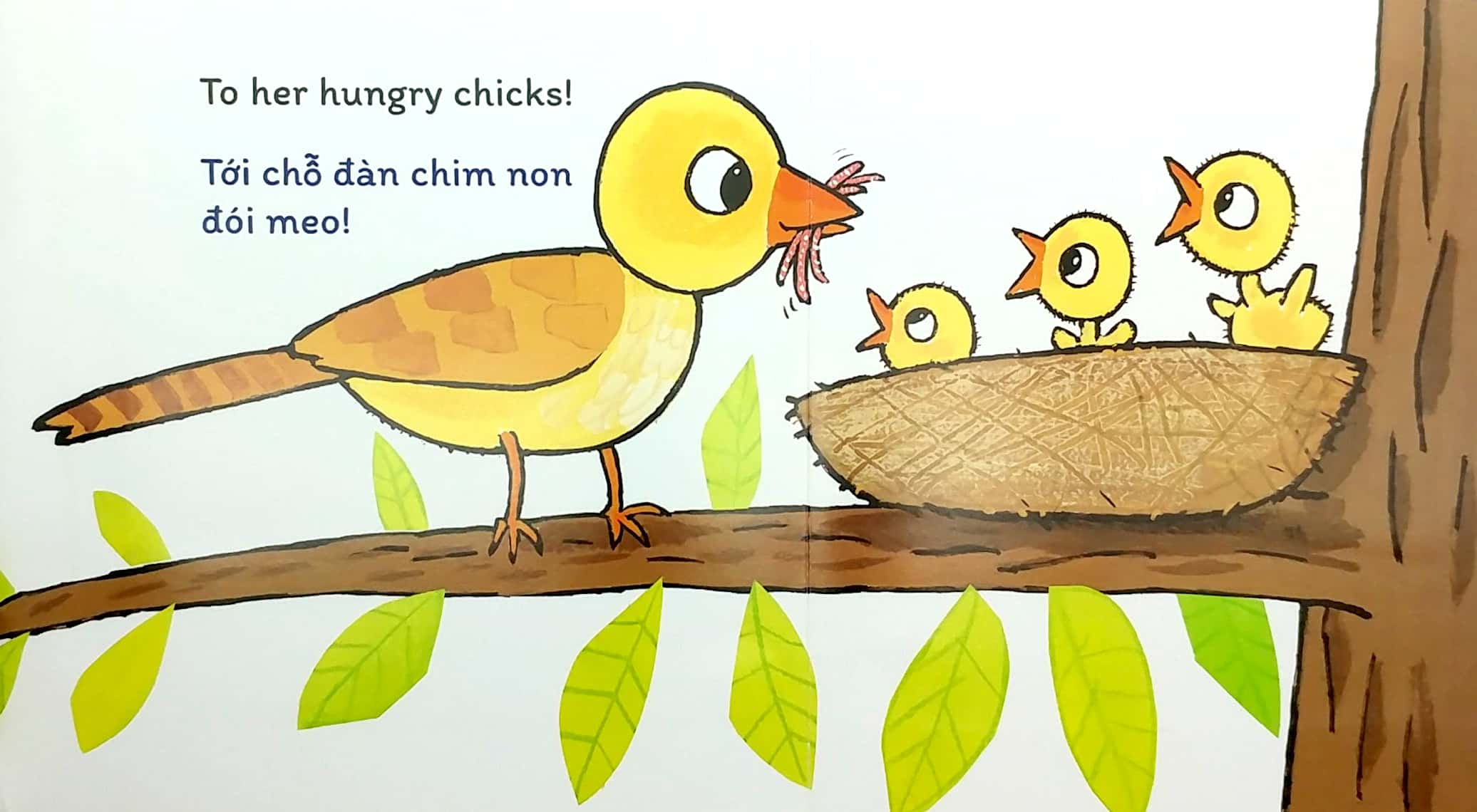 sách đố vui lật giở song ngữ - đoán xem ở đâu?