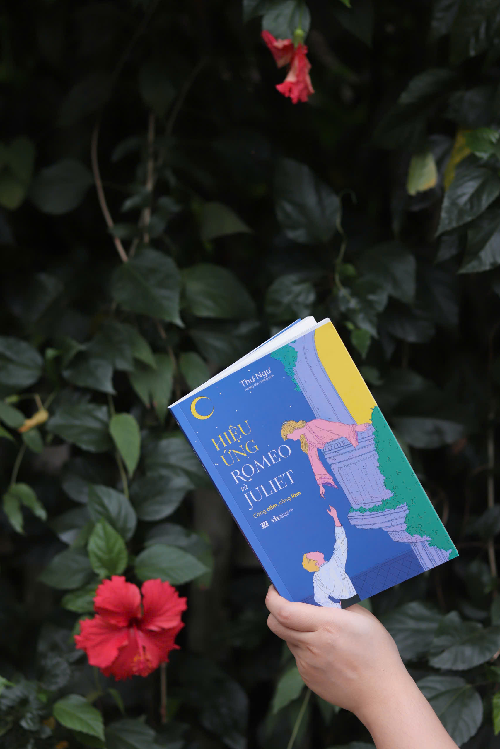 [Sách Đồng Giá 40K] Hiệu Ứng Romeo Và Juliet
