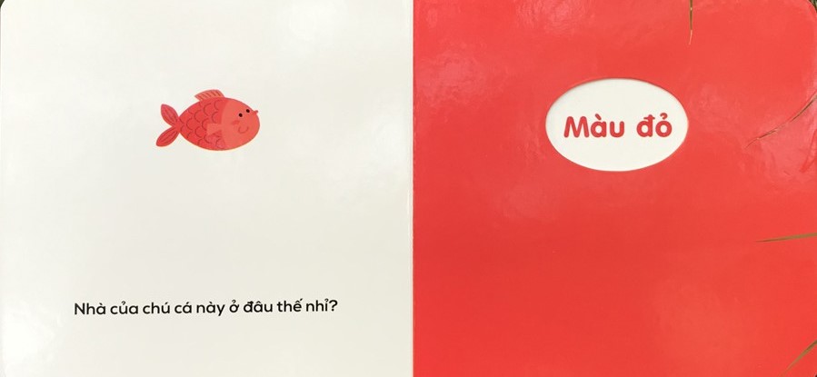 sách đục lỗ - ô cửa diệu kì - màu sắc