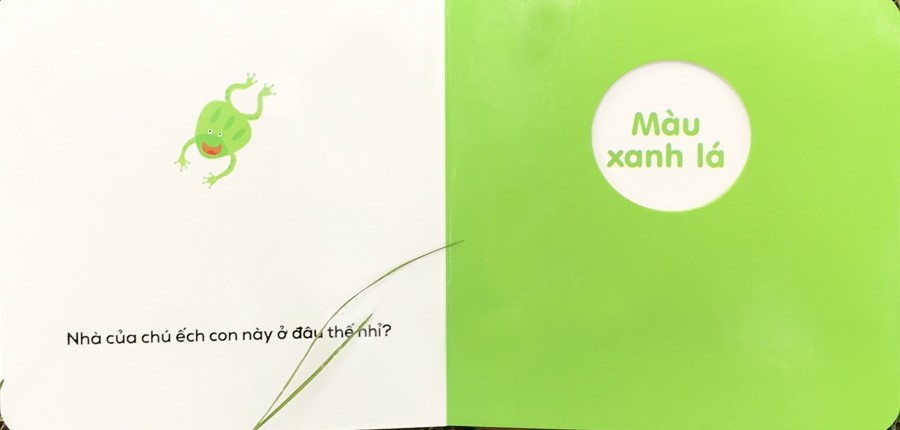 sách đục lỗ - ô cửa diệu kì - màu sắc