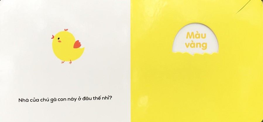 sách đục lỗ - ô cửa diệu kì - màu sắc