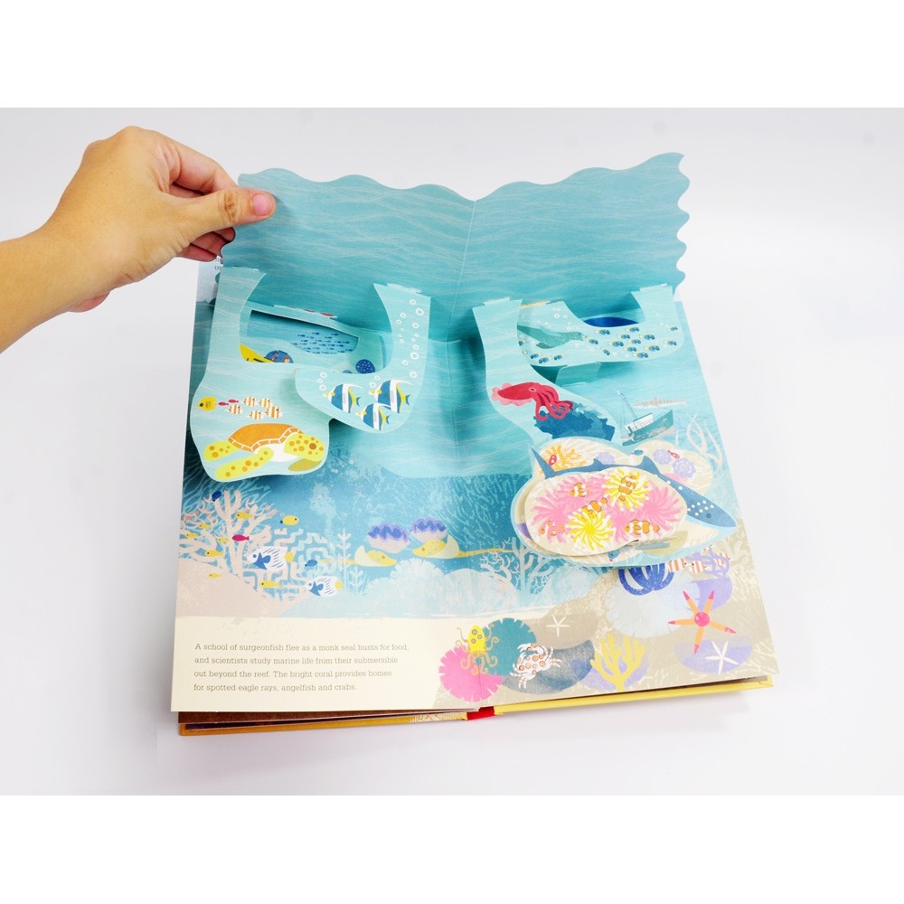 sách dựng hình 3d - whatℹs below? - bên dưới có gì?