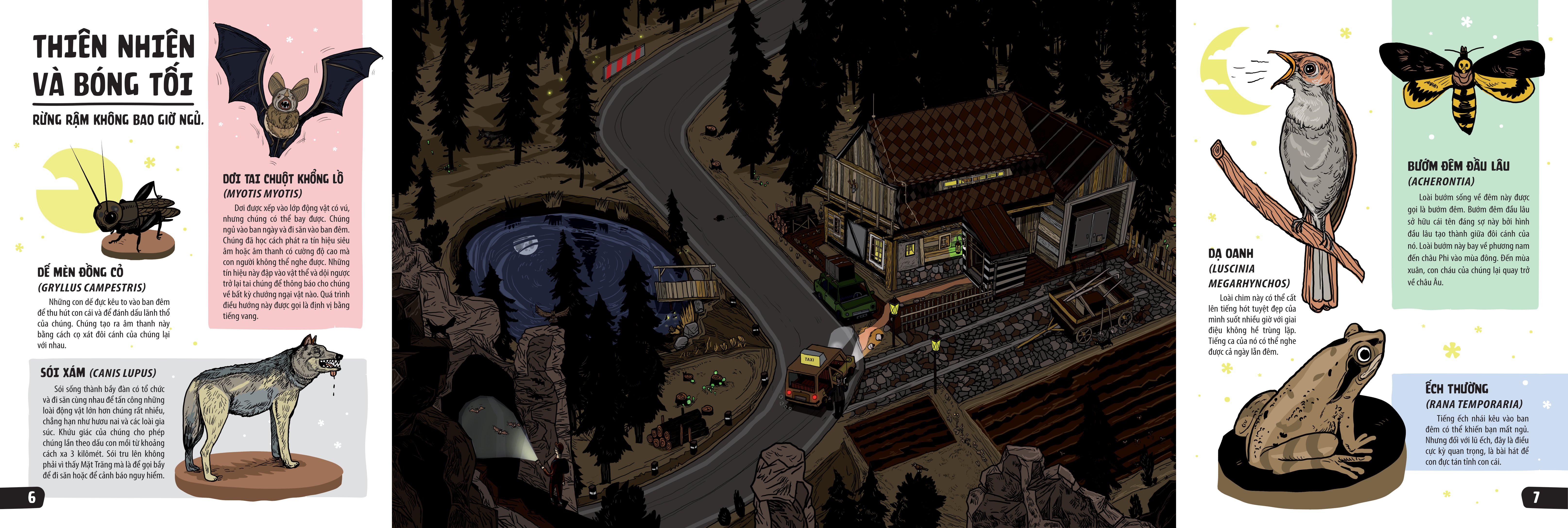 sách khổng lồ mở ra thế giới bí ẩn trong đêm