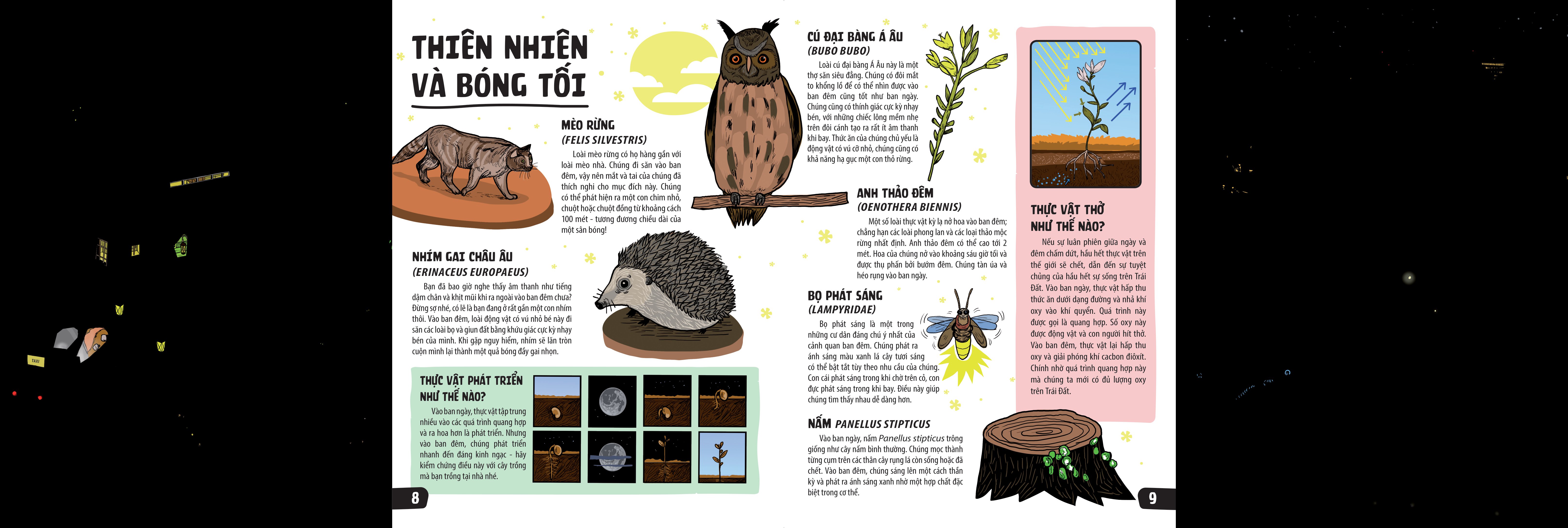 sách khổng lồ mở ra thế giới bí ẩn trong đêm