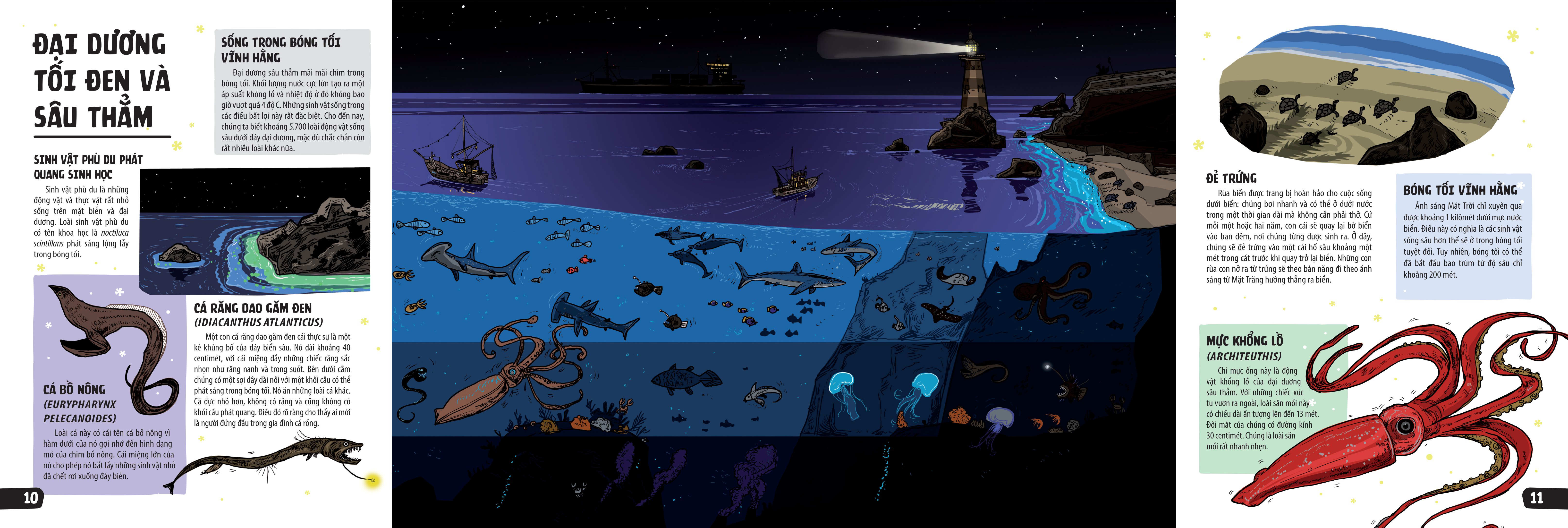 sách khổng lồ mở ra thế giới bí ẩn trong đêm