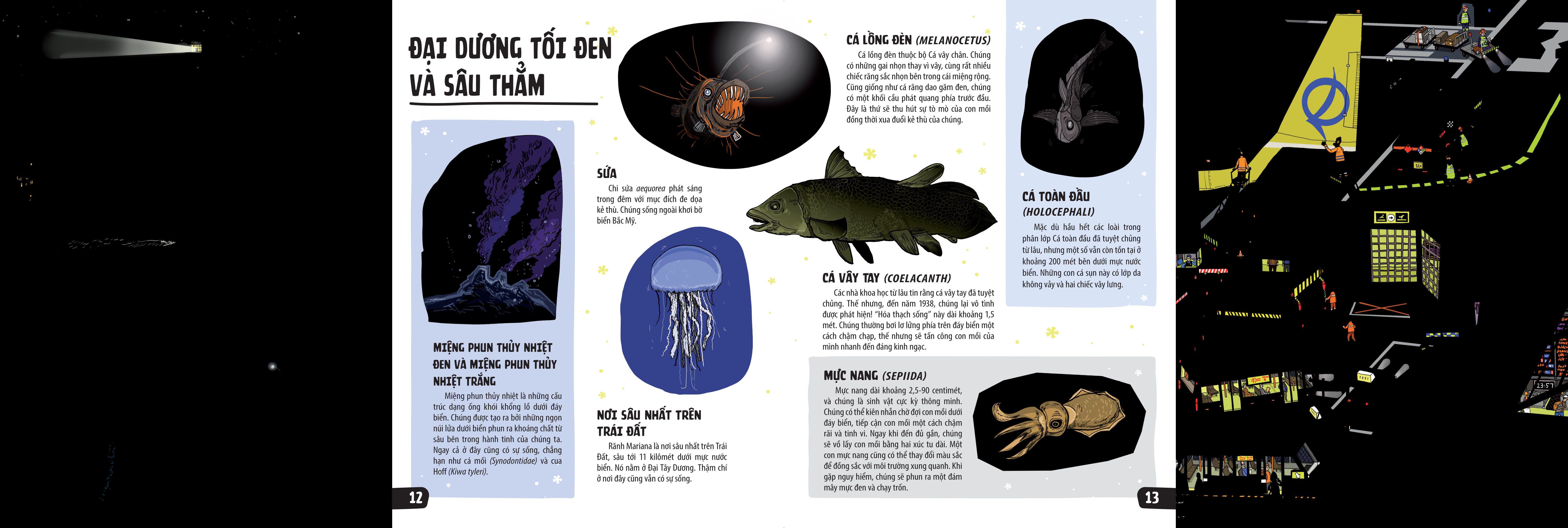 sách khổng lồ mở ra thế giới bí ẩn trong đêm