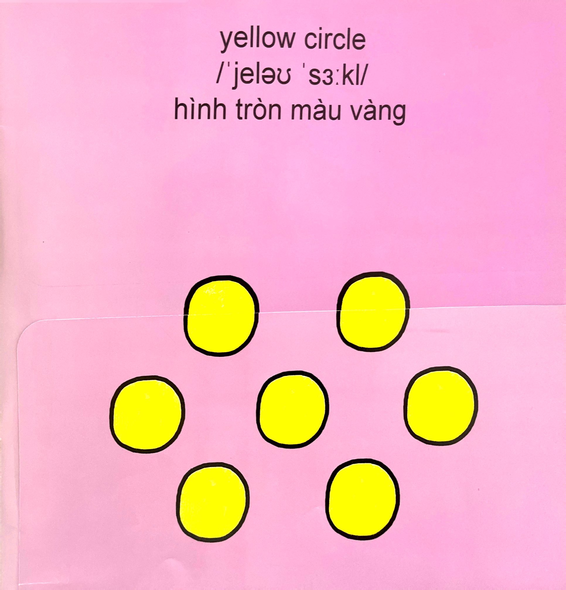 sách lật mở khám phá - màu sắc và hình dạng