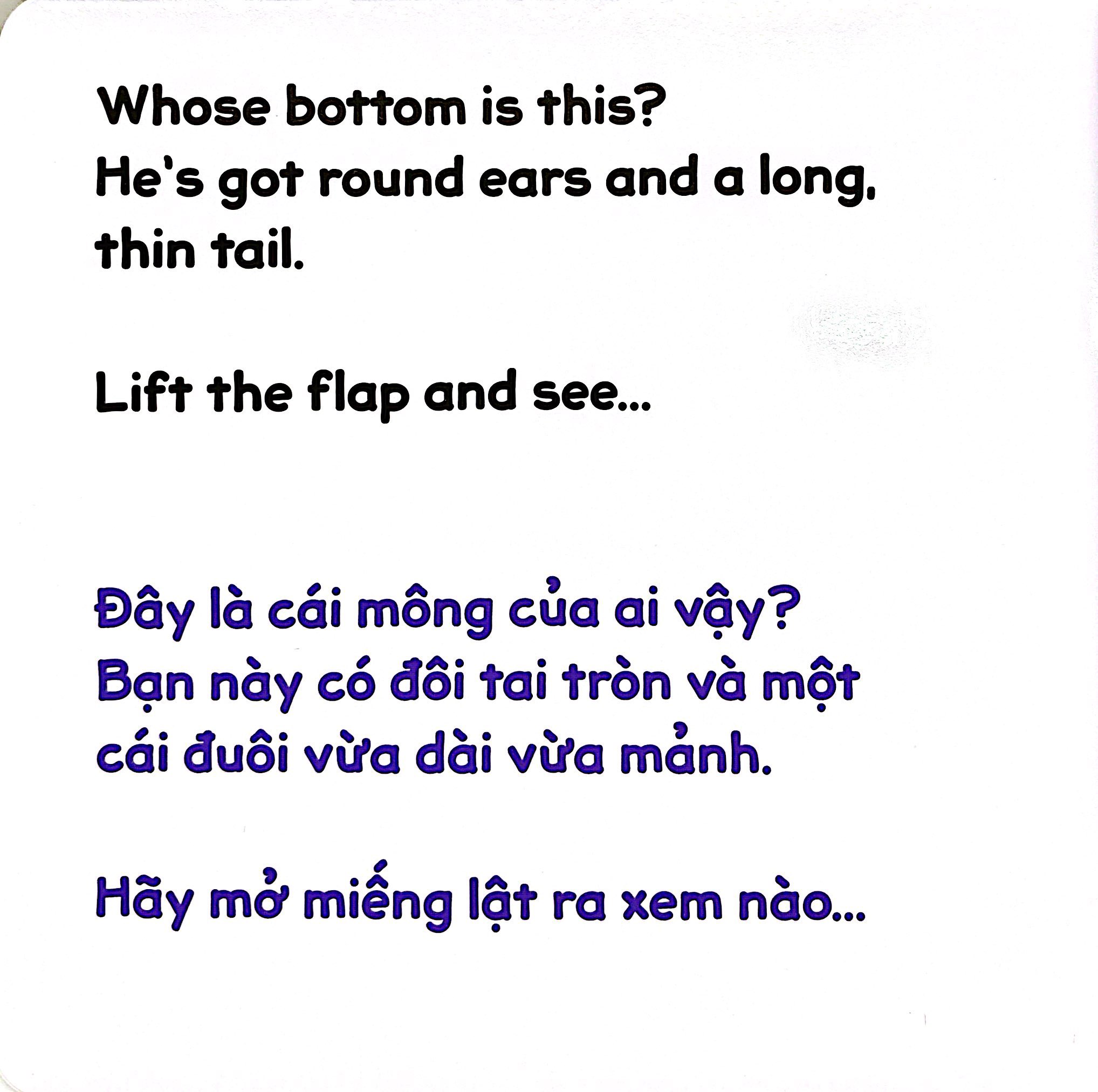 Sach Lat Tuong Tac Song Ngu 0-3 Tuoi - Mong Ai Day? - Bia Cung