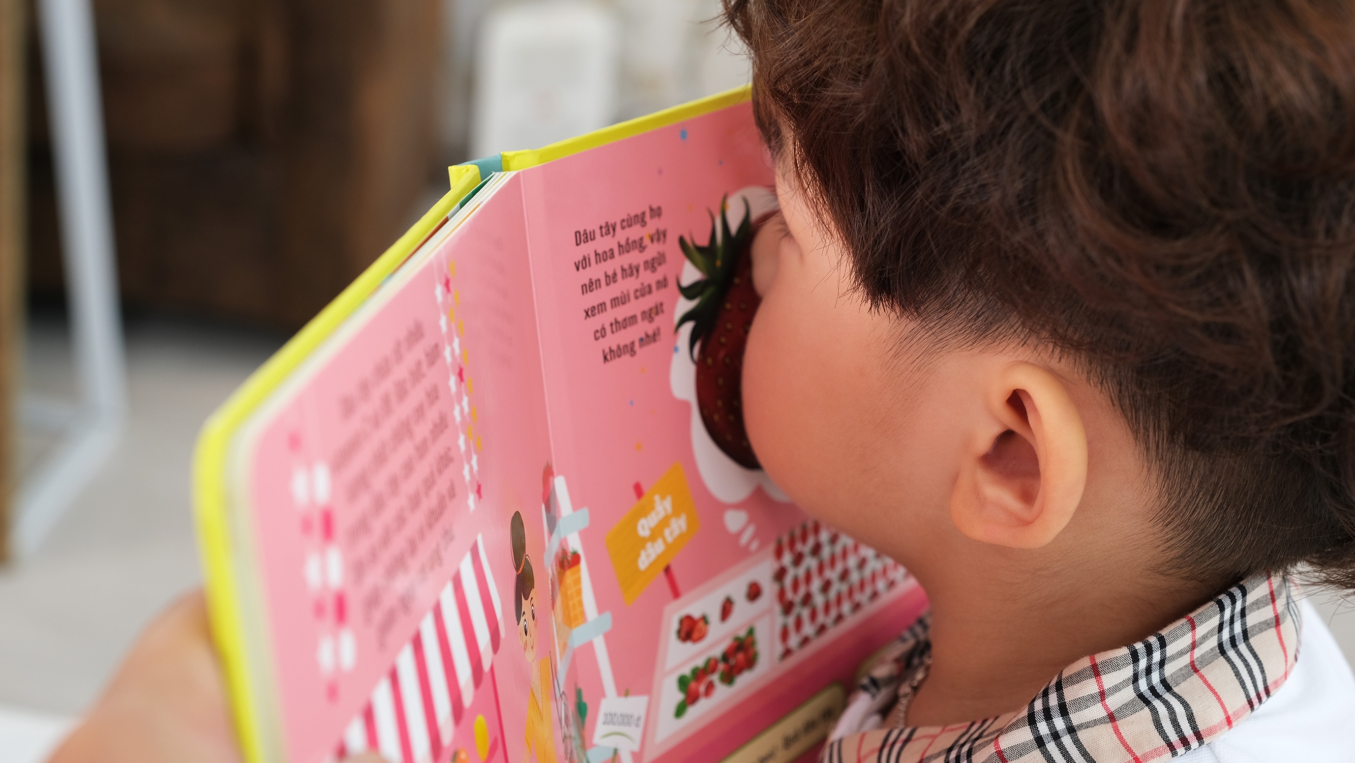 sách mùi hương - các loại trái cây