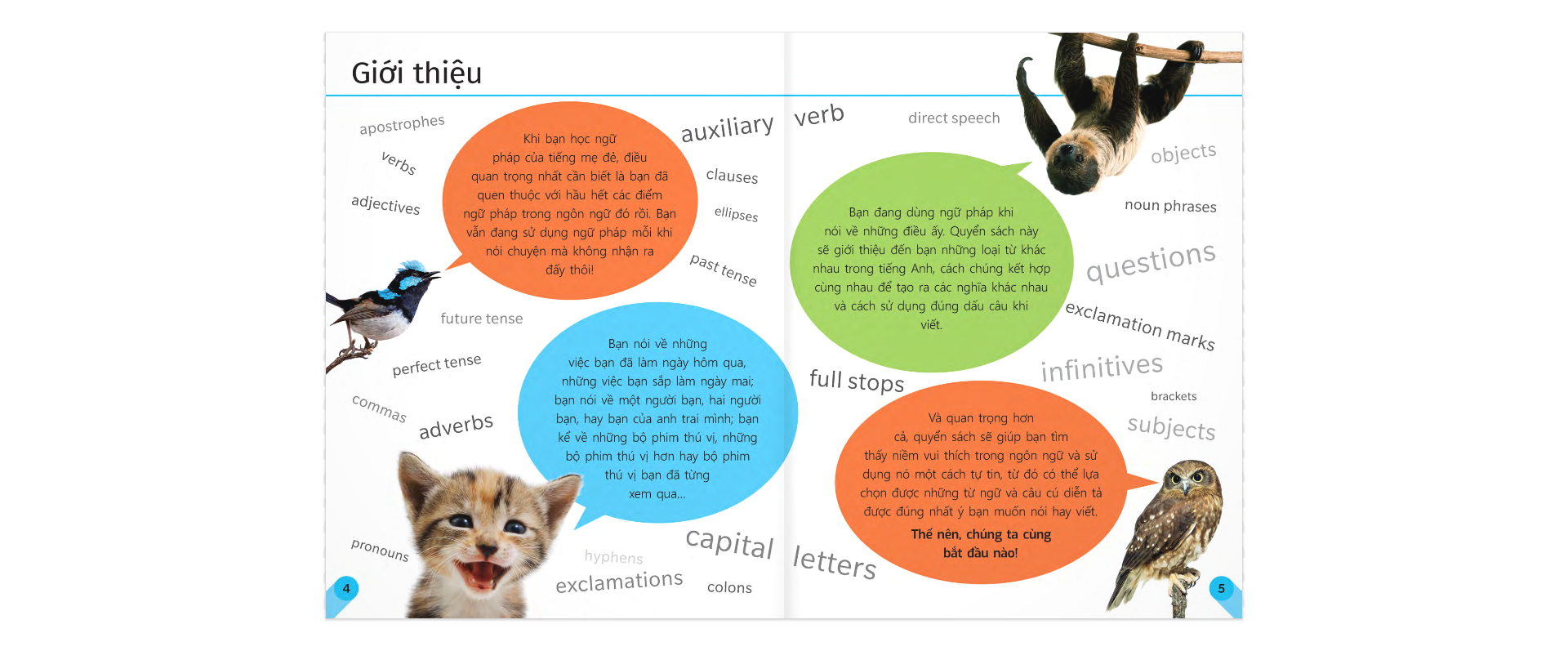 sách tham khảo trực quan về ngữ pháp và dấu câu