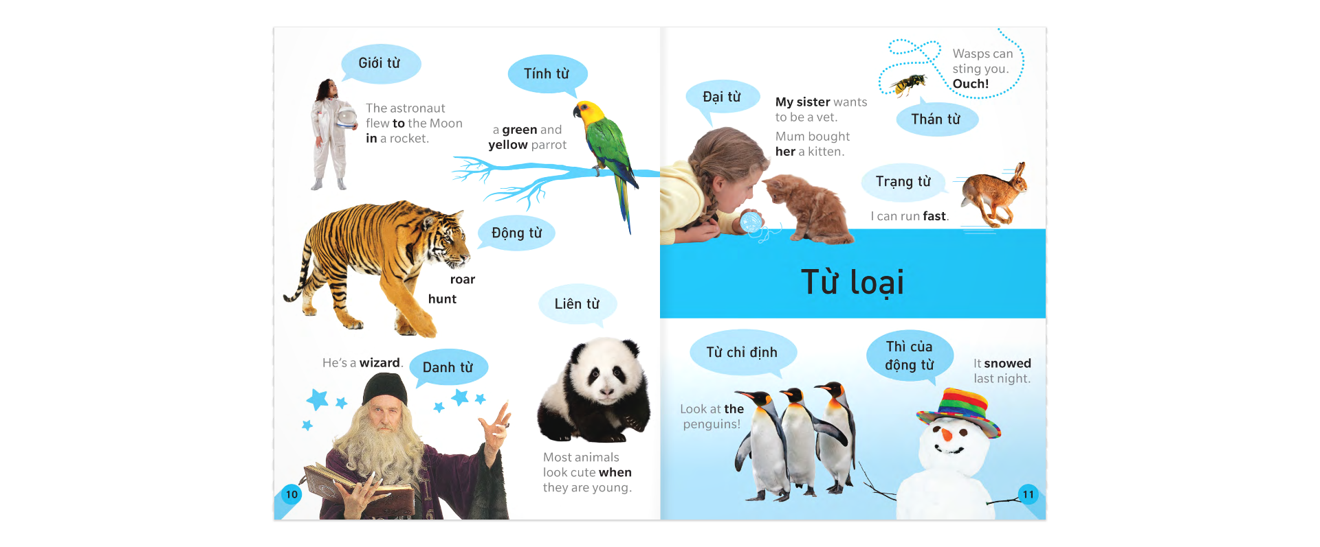 sách tham khảo trực quan về ngữ pháp và dấu câu