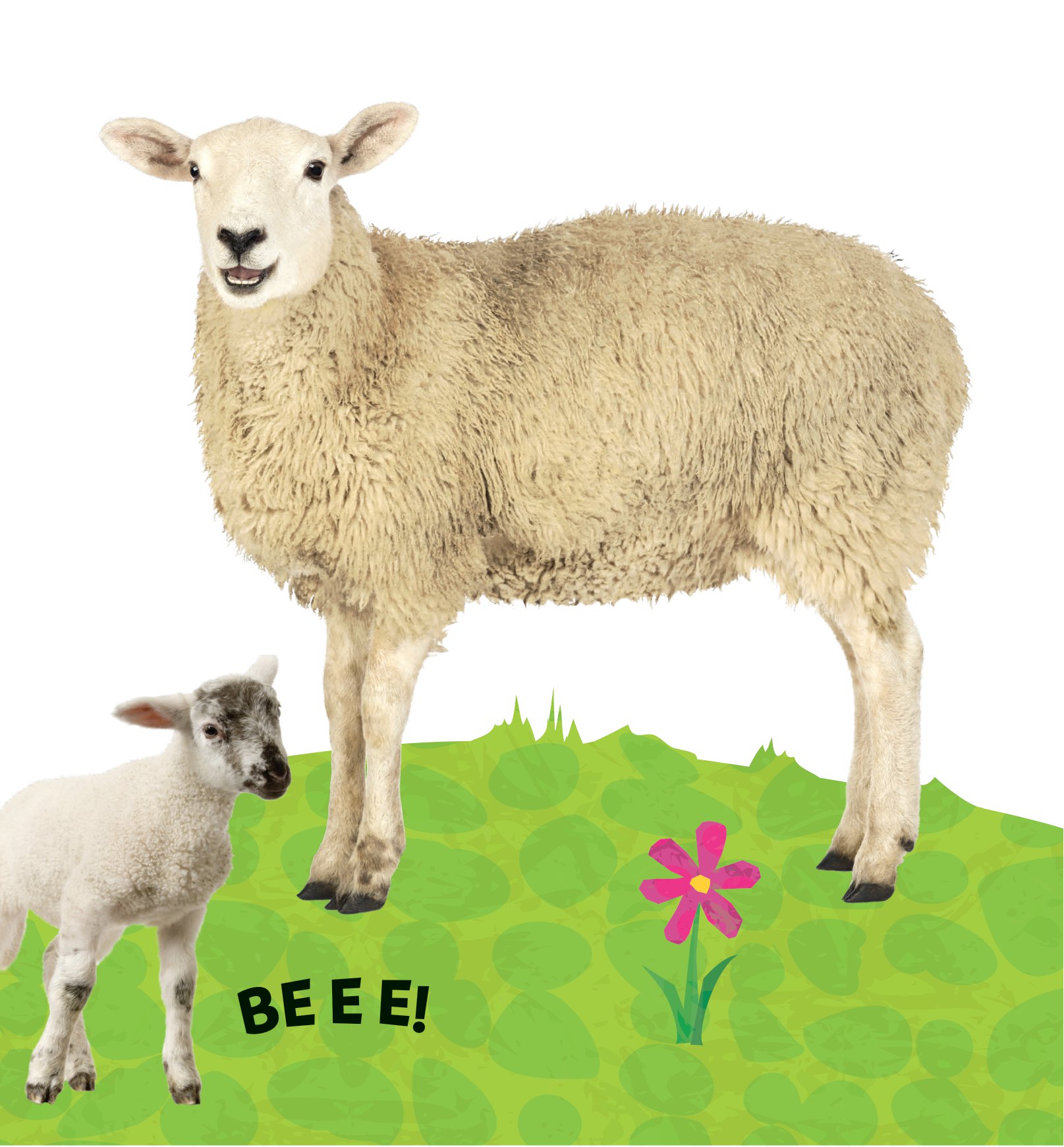 sách to ôm sách nhỏ - động vật ở nông trại (dành cho trẻ từ 0-6 tuổi)