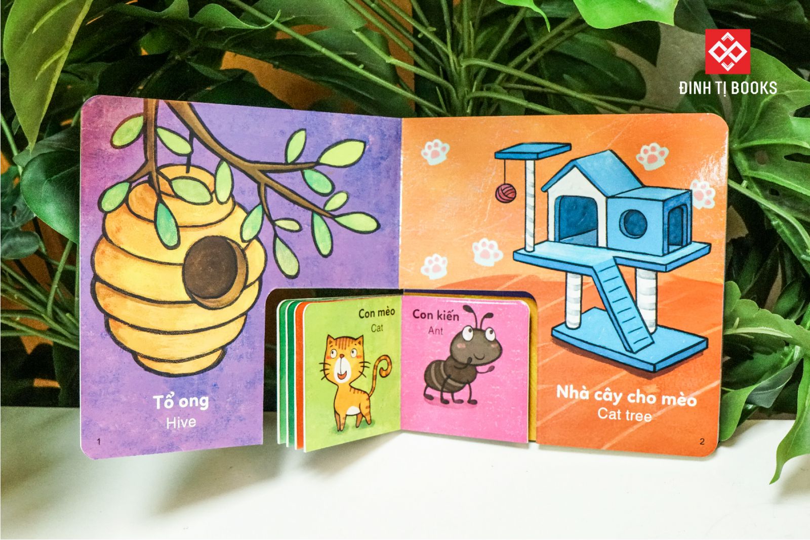 sách to ôm sách nhỏ - nhà của ai đây nhỉ?