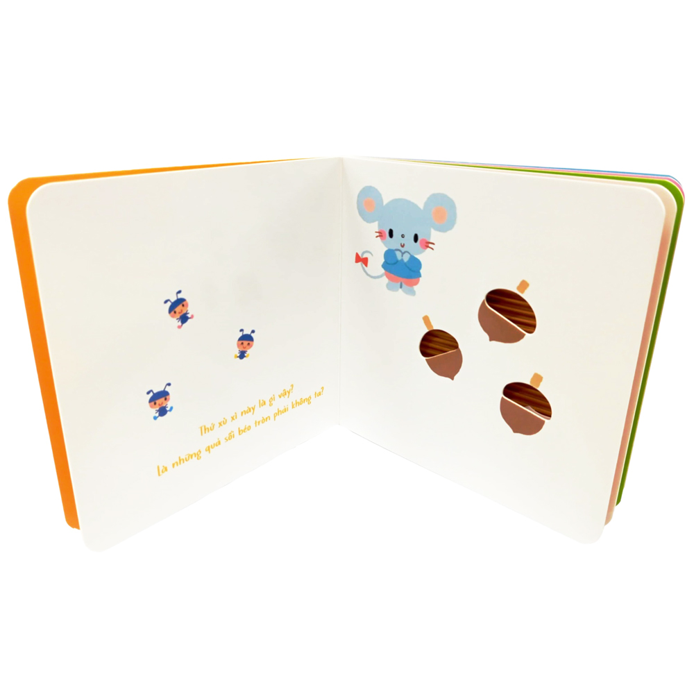 sách tranh chạm của arakawa shizue - thứ tròn trĩnh này là gì vậy?