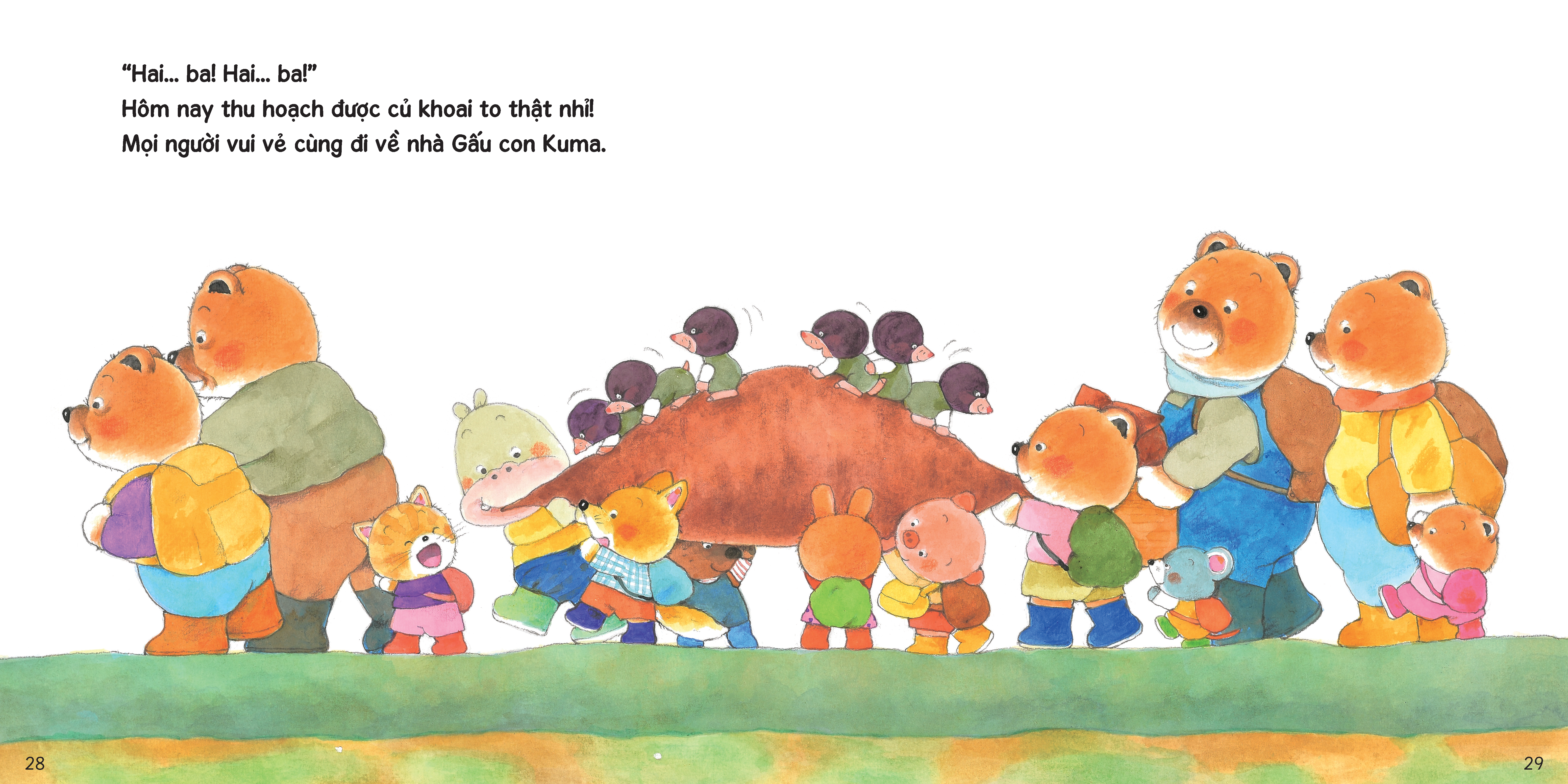 sách tranh ehon kuma - những chuyện nhỏ hằng ngày - cùng nhau nhổ khoai lang