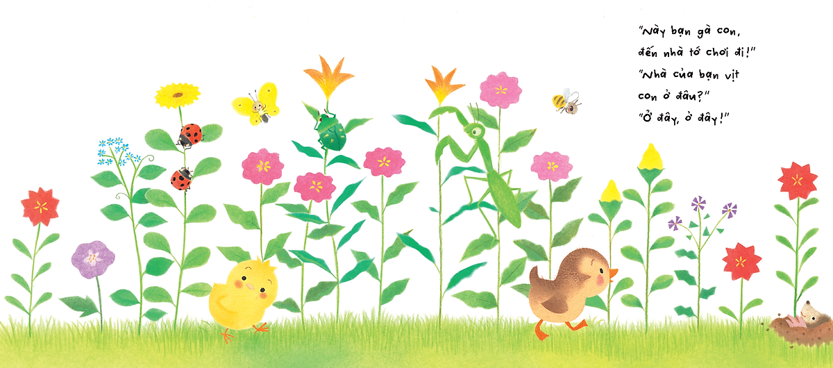 sách tranh pop-up - bạn của gà con