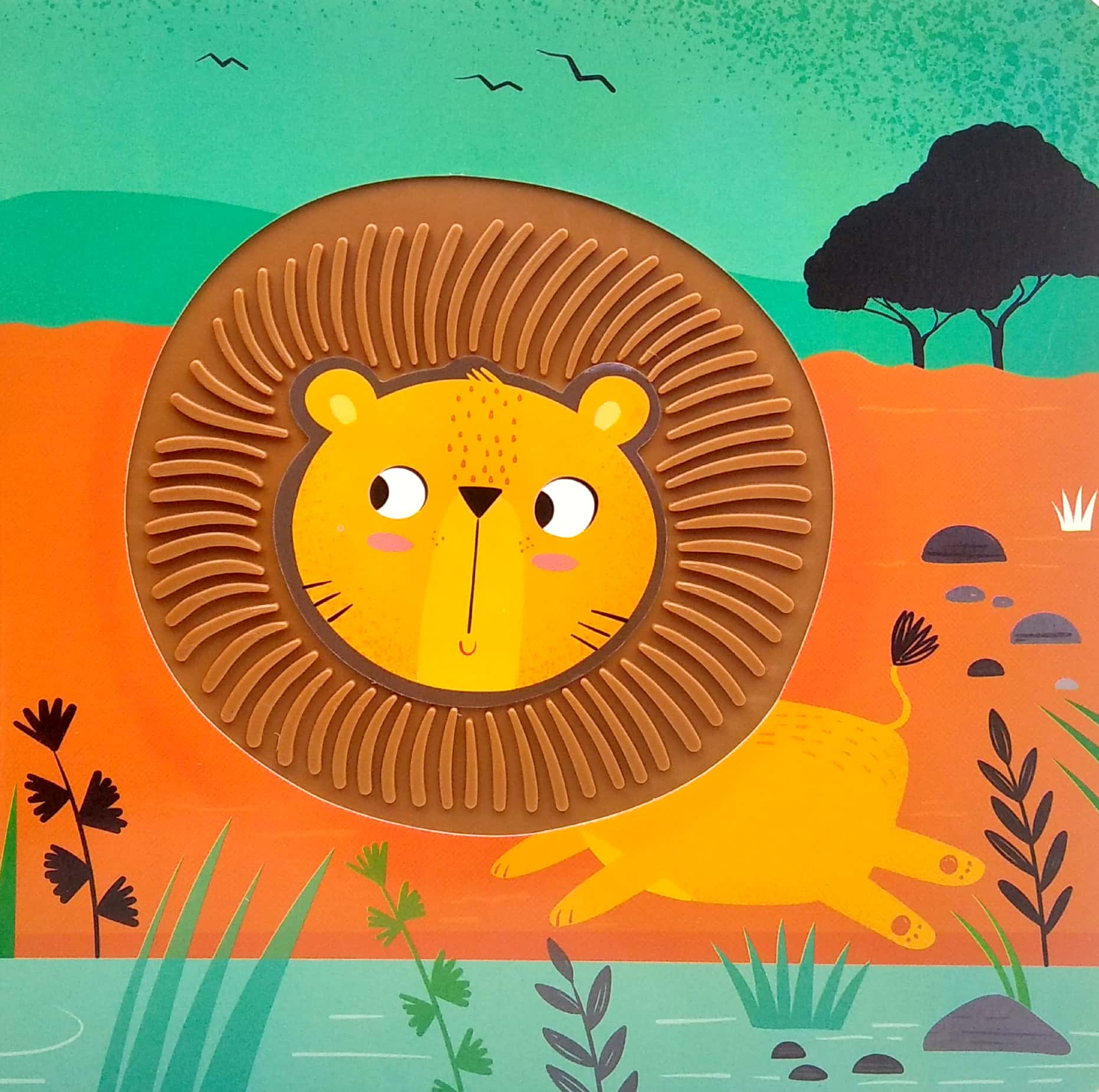 safari - silicon board books