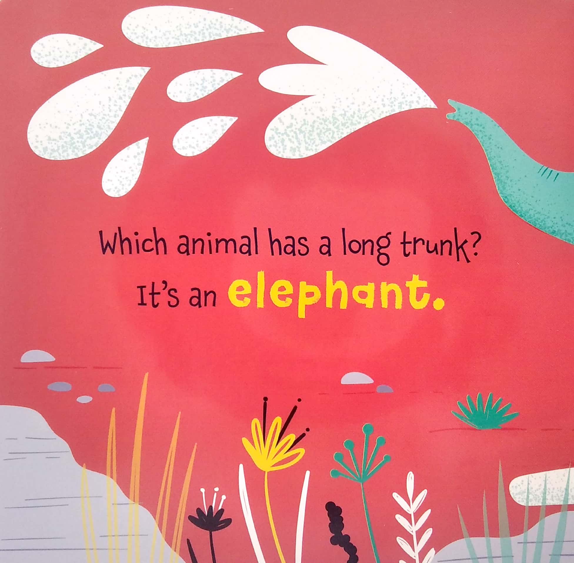 safari - silicon board books