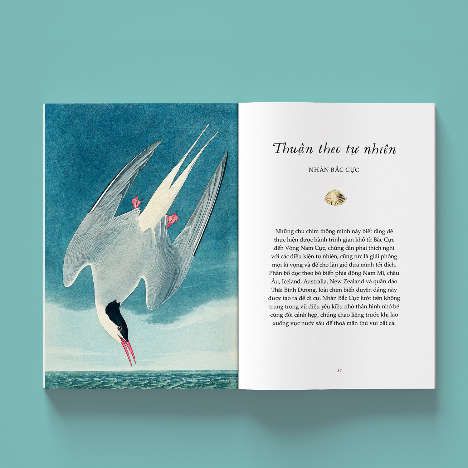 sải cánh như những chú chim - những bài học nhỏ để có nguồn năng lượng tích cực bất tận