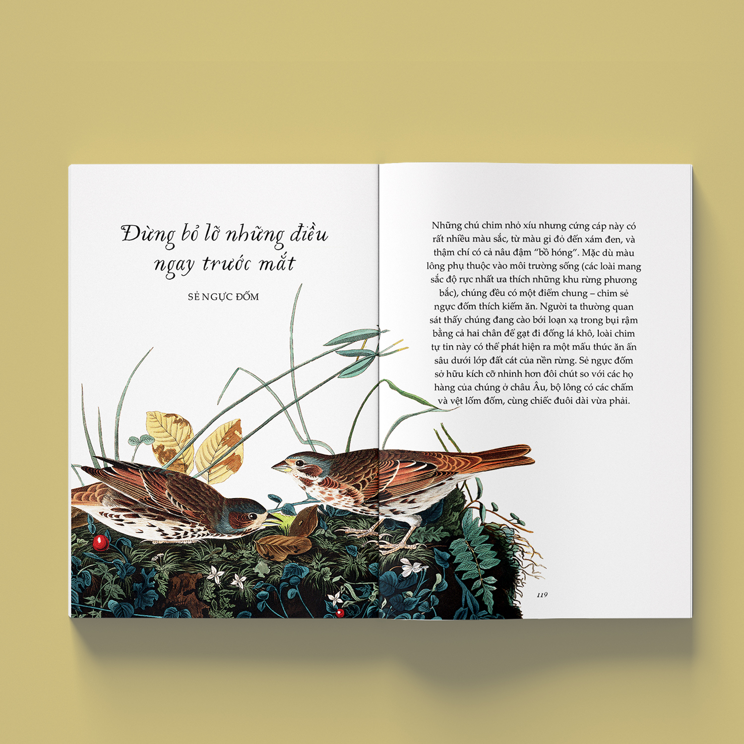 sải cánh như những chú chim - những bài học nhỏ để có nguồn năng lượng tích cực bất tận