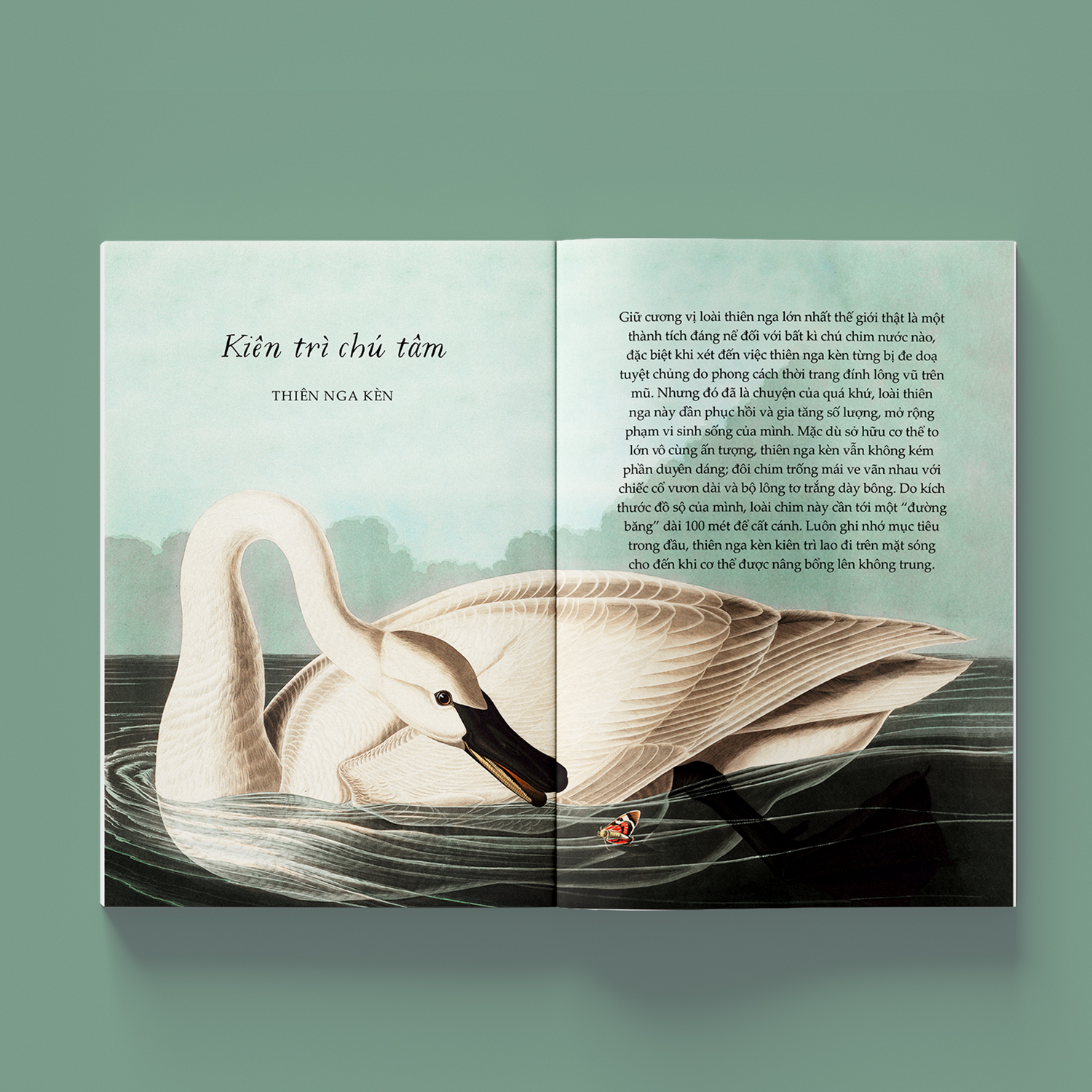 sải cánh như những chú chim - những bài học nhỏ để có nguồn năng lượng tích cực bất tận