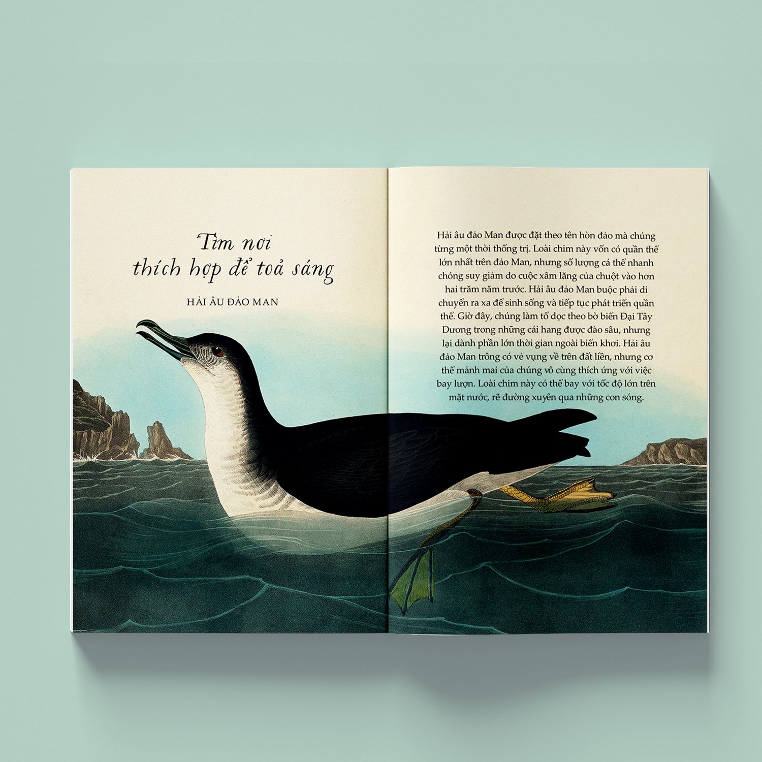 sải cánh như những chú chim - những bài học nhỏ để có nguồn năng lượng tích cực bất tận