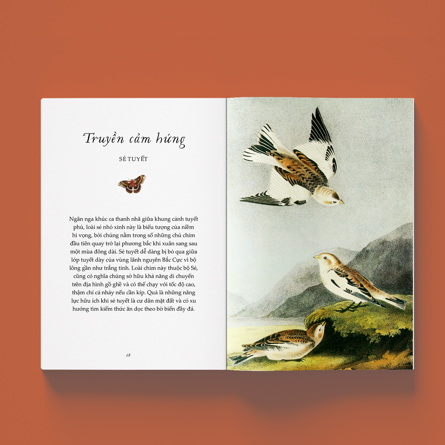 sải cánh như những chú chim - những bài học nhỏ để có nguồn năng lượng tích cực bất tận