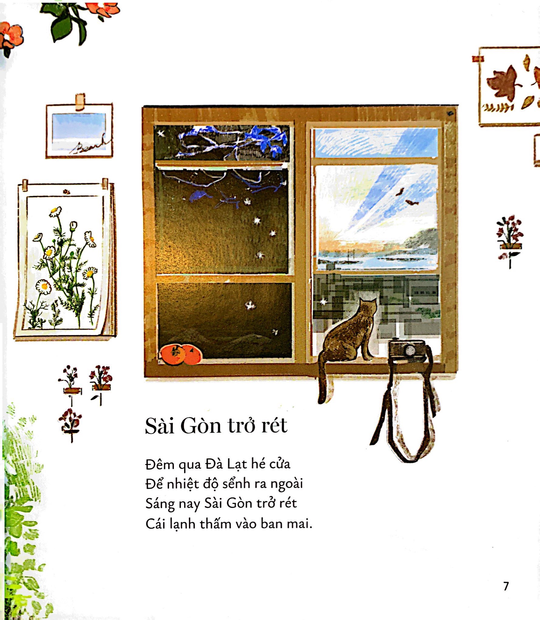 sài gòn sót mấy con ve