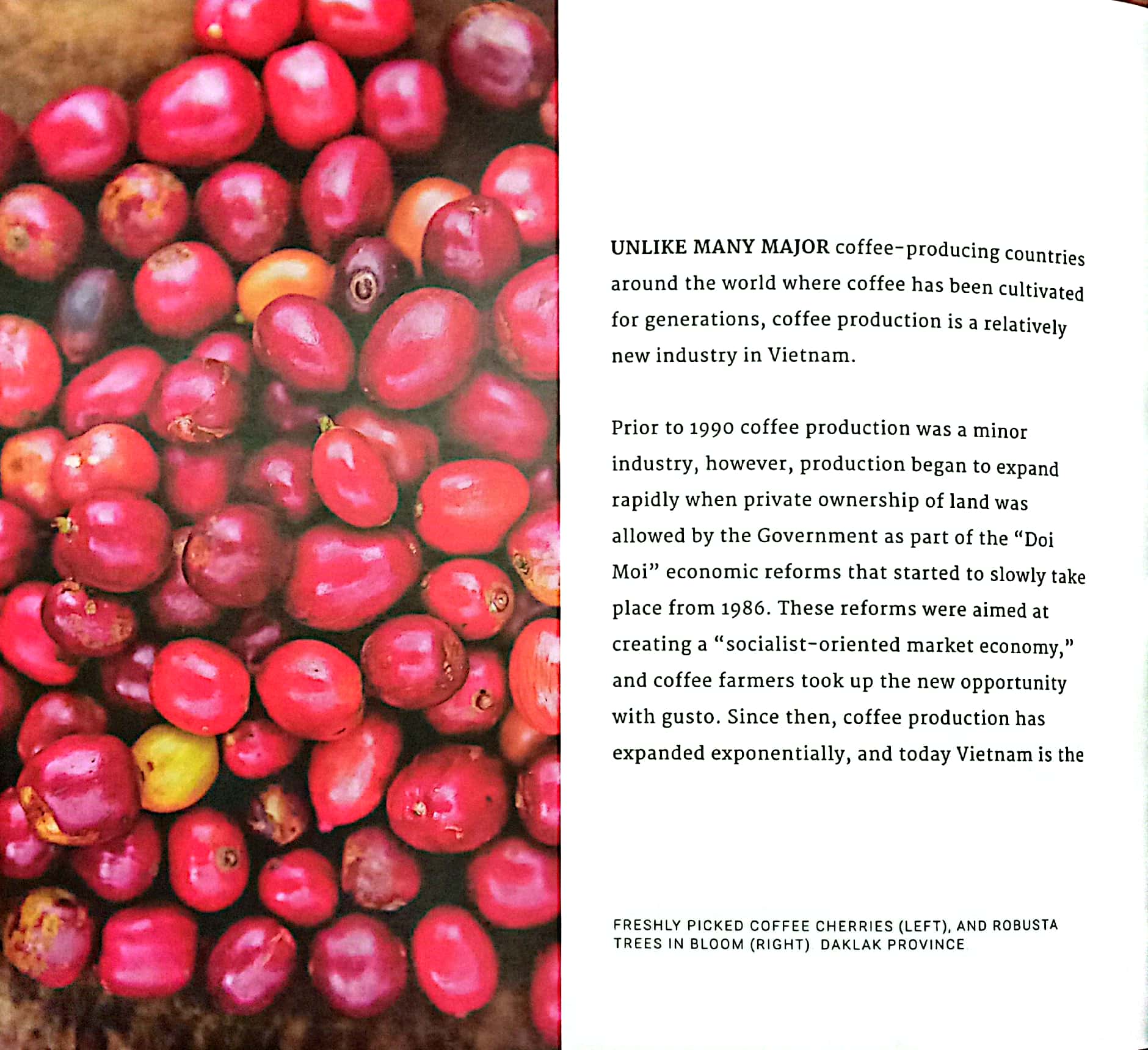 saigon cà phê - bìa cứng (tái bản 2024)