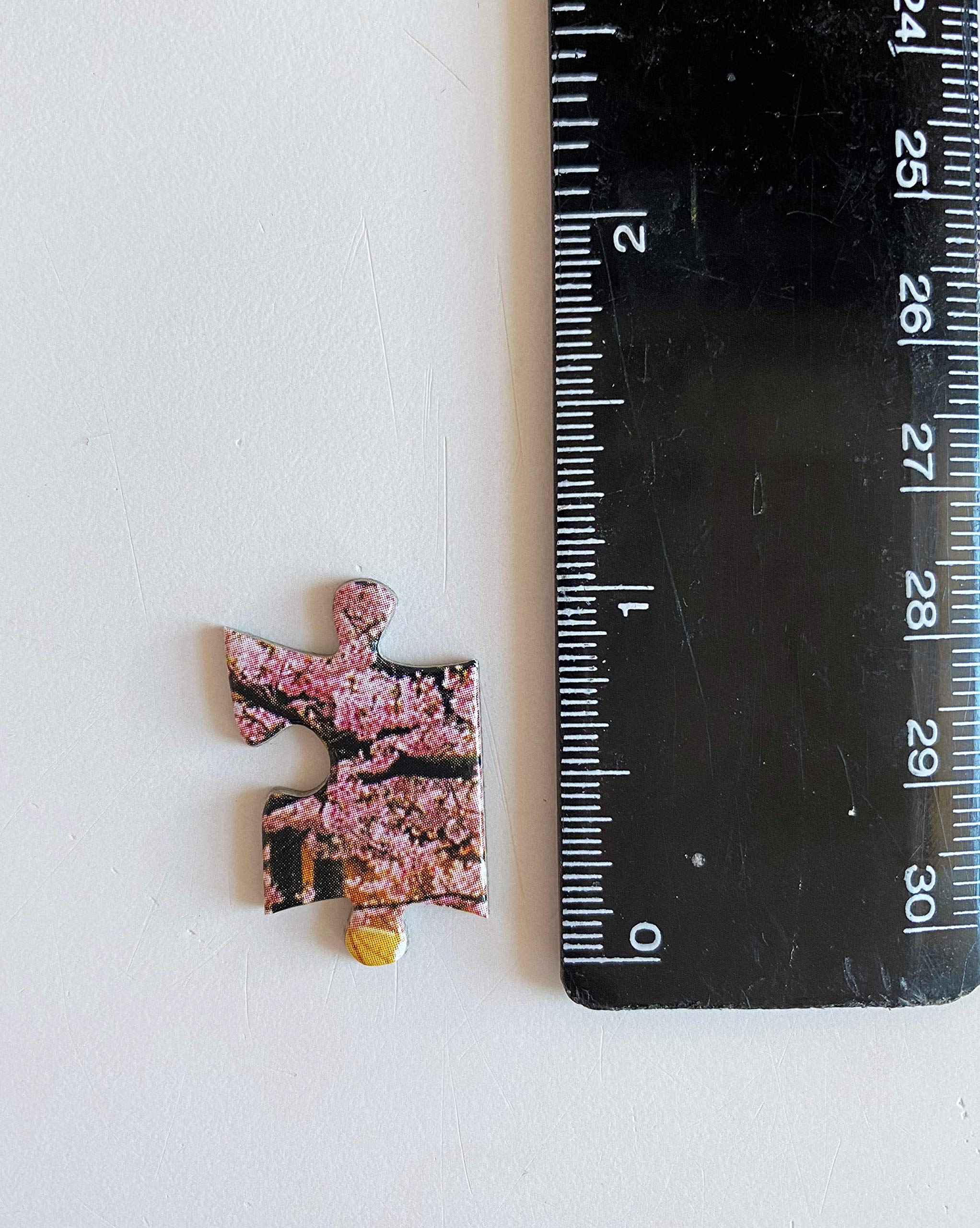 samurai castle & cherry blossoms - 1000 piece jigsaw puzzle: cherry blossoms at himeji castle (finished size 24 in x 18 in)