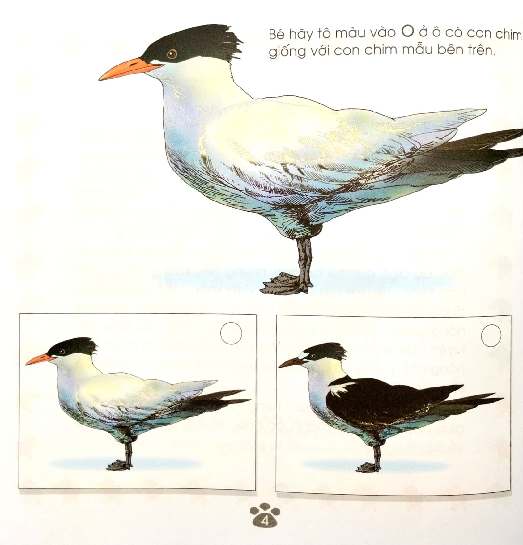 sân chơi trí tuệ của chim đa đa - trò chơi rèn luyện khả năng chú ý (tái bản 2022)