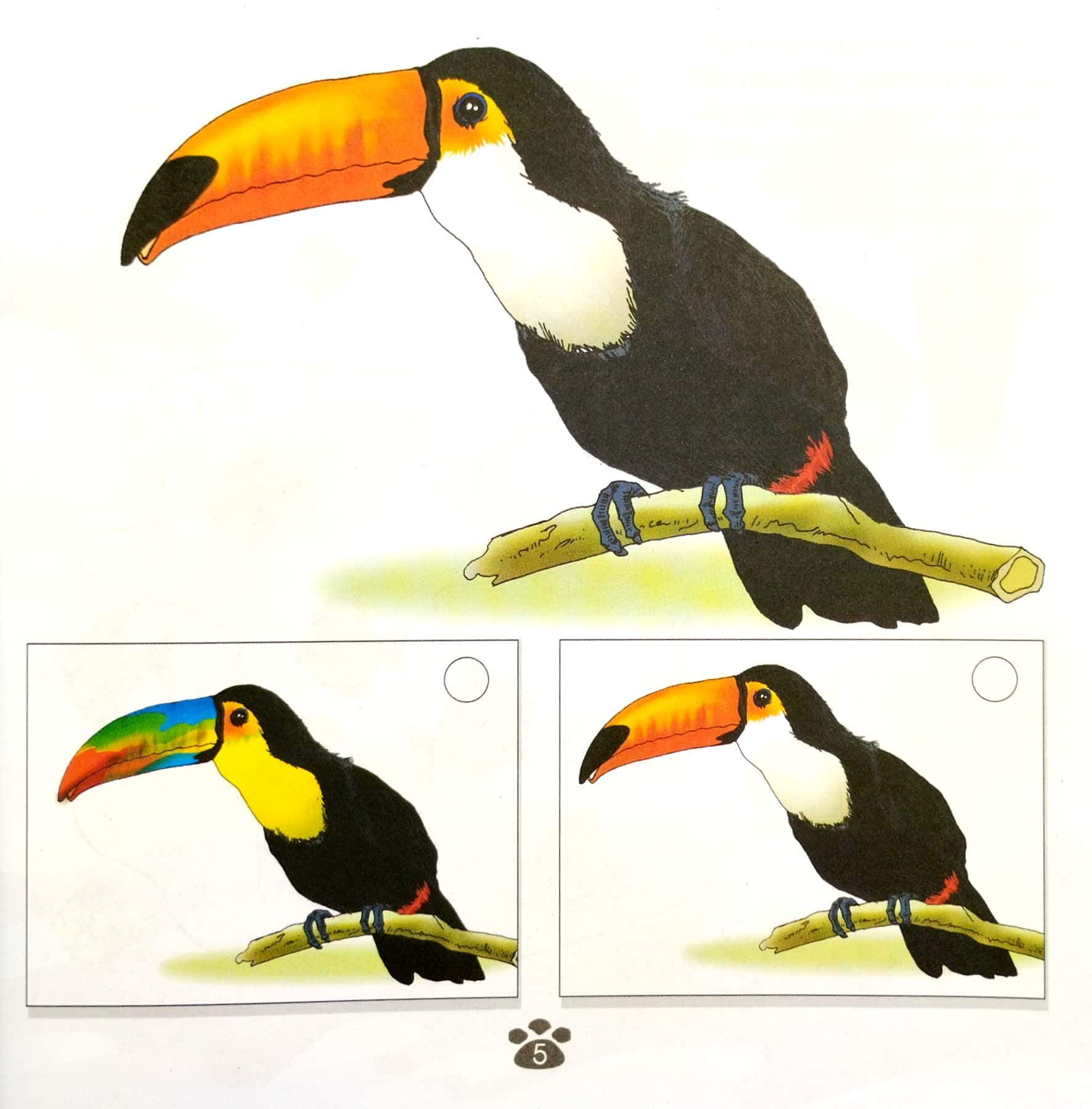 sân chơi trí tuệ của chim đa đa - trò chơi rèn luyện khả năng chú ý (tái bản 2022)