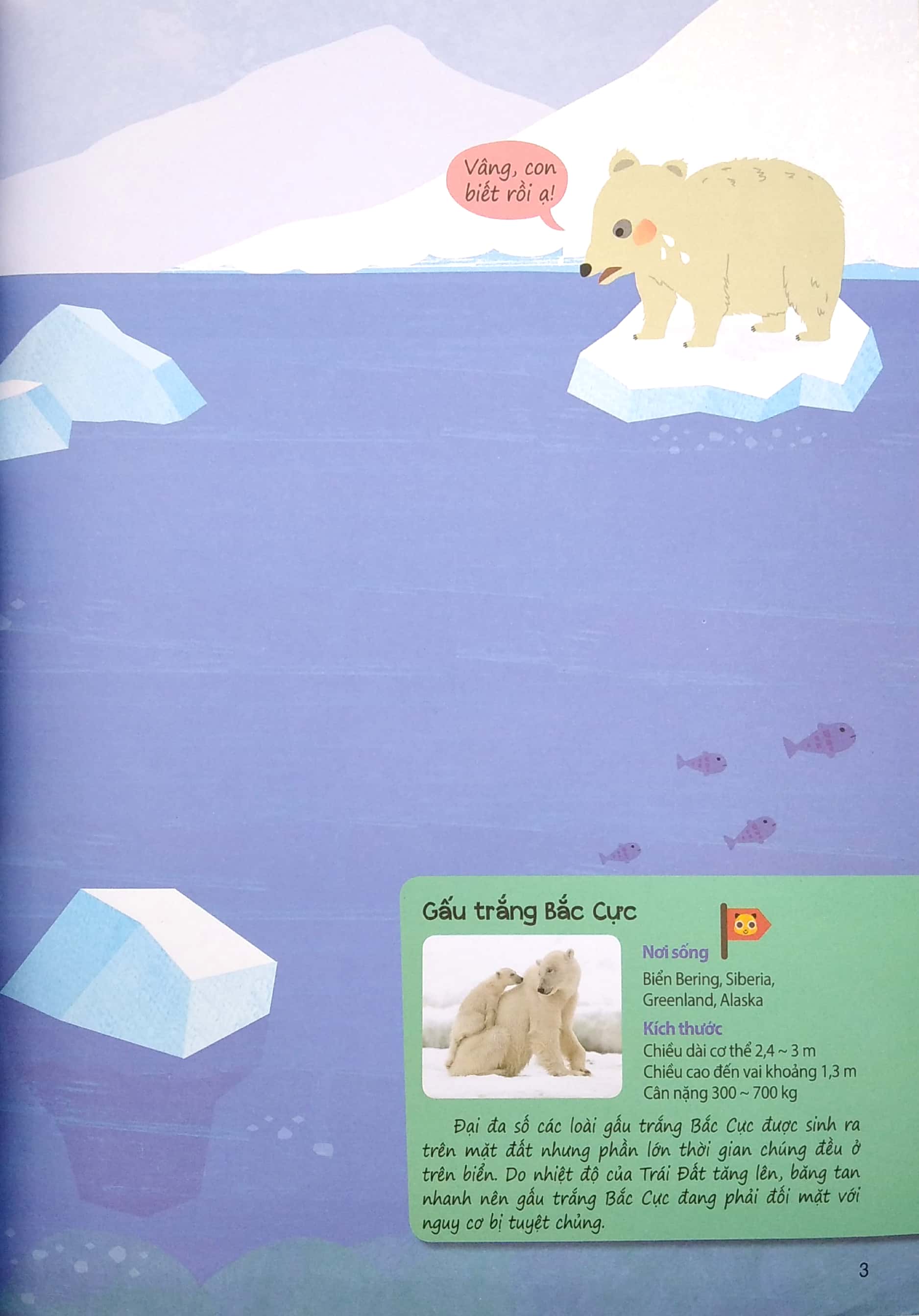 sáng tạo mĩ thuật và tìm hiểu hệ sinh thái: địa cực