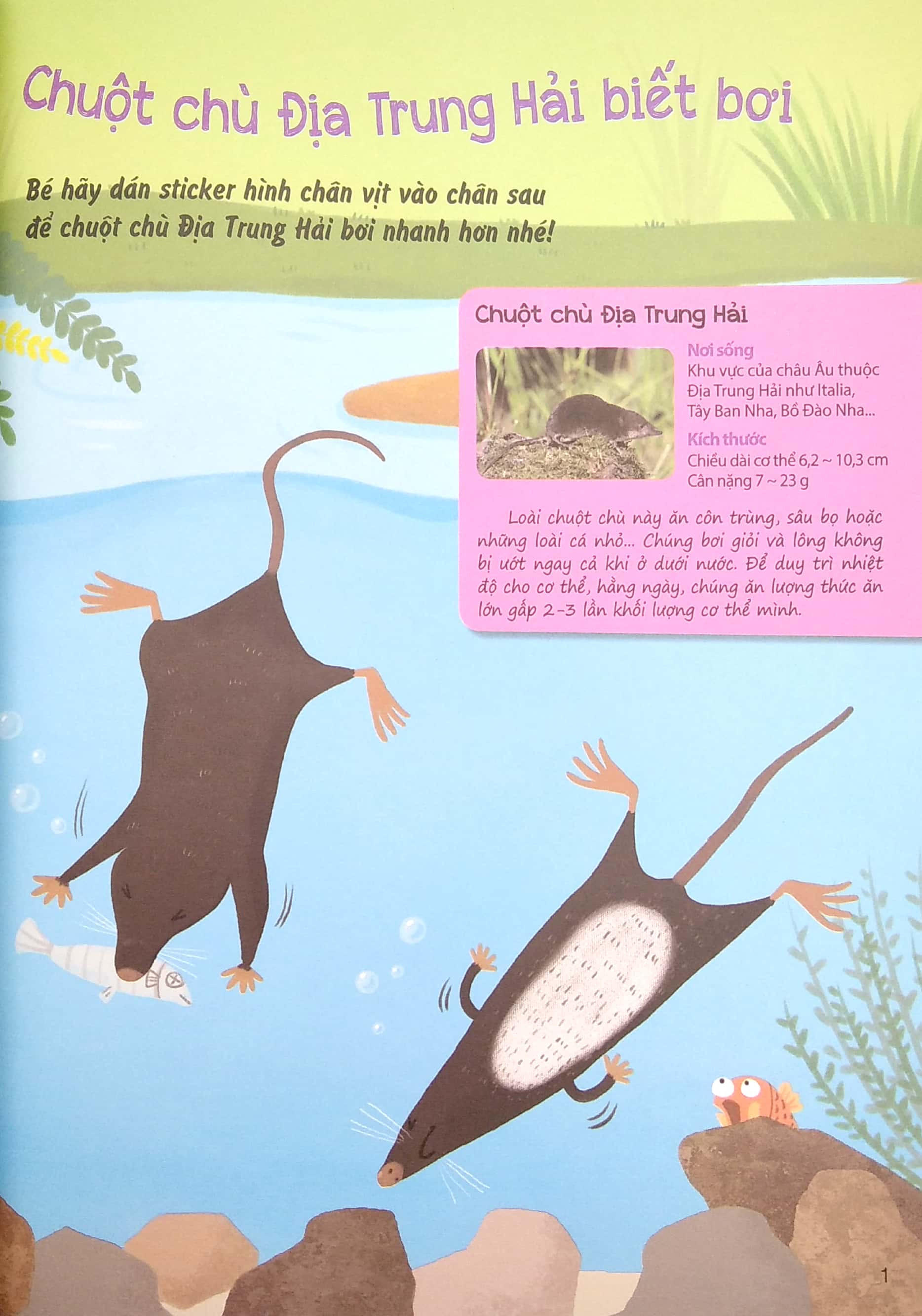 sáng tạo mĩ thuật và tìm hiểu hệ sinh thái: địa trung hải