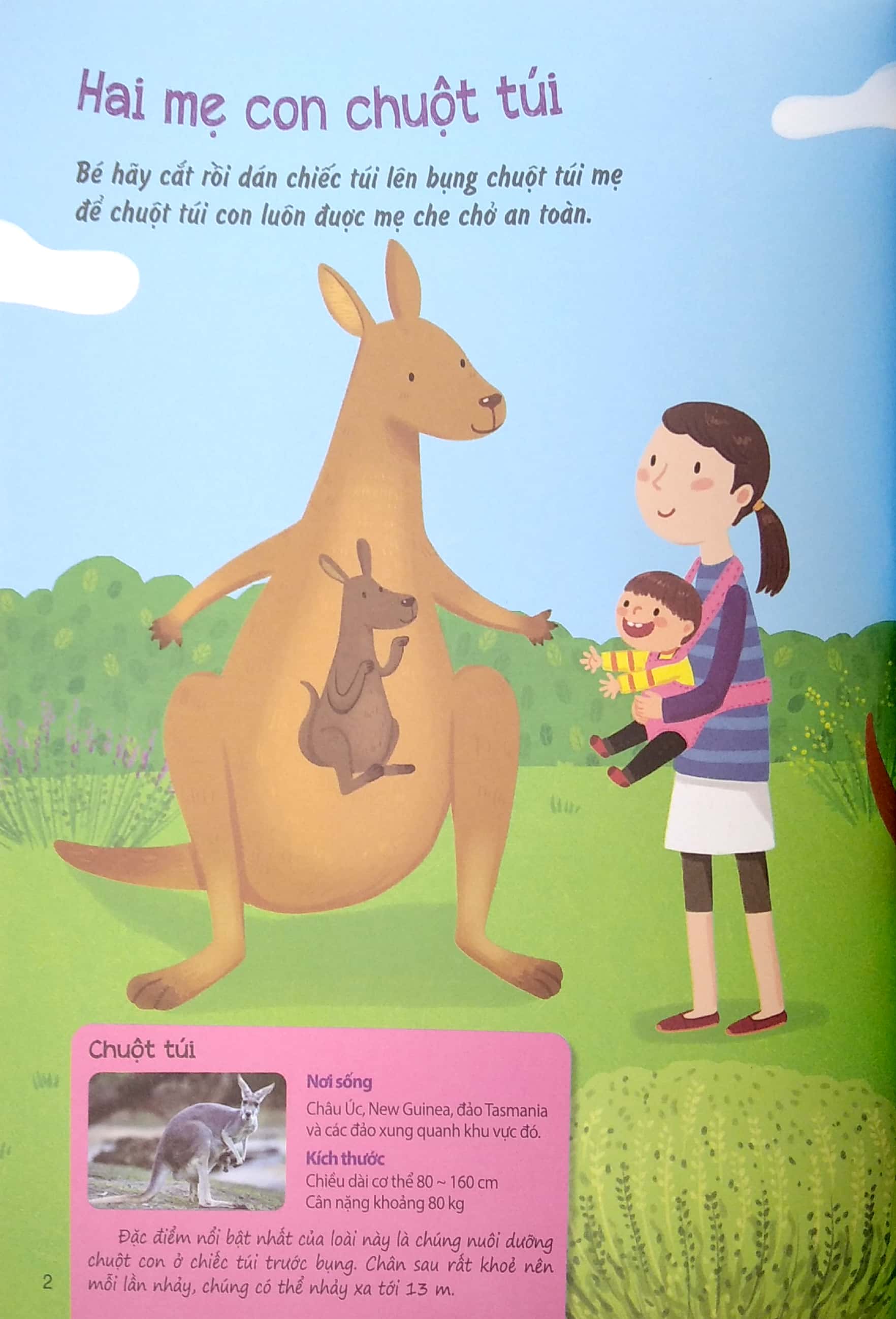 sáng tạo mĩ thuật và tìm hiểu hệ sinh thái: địa trung hải