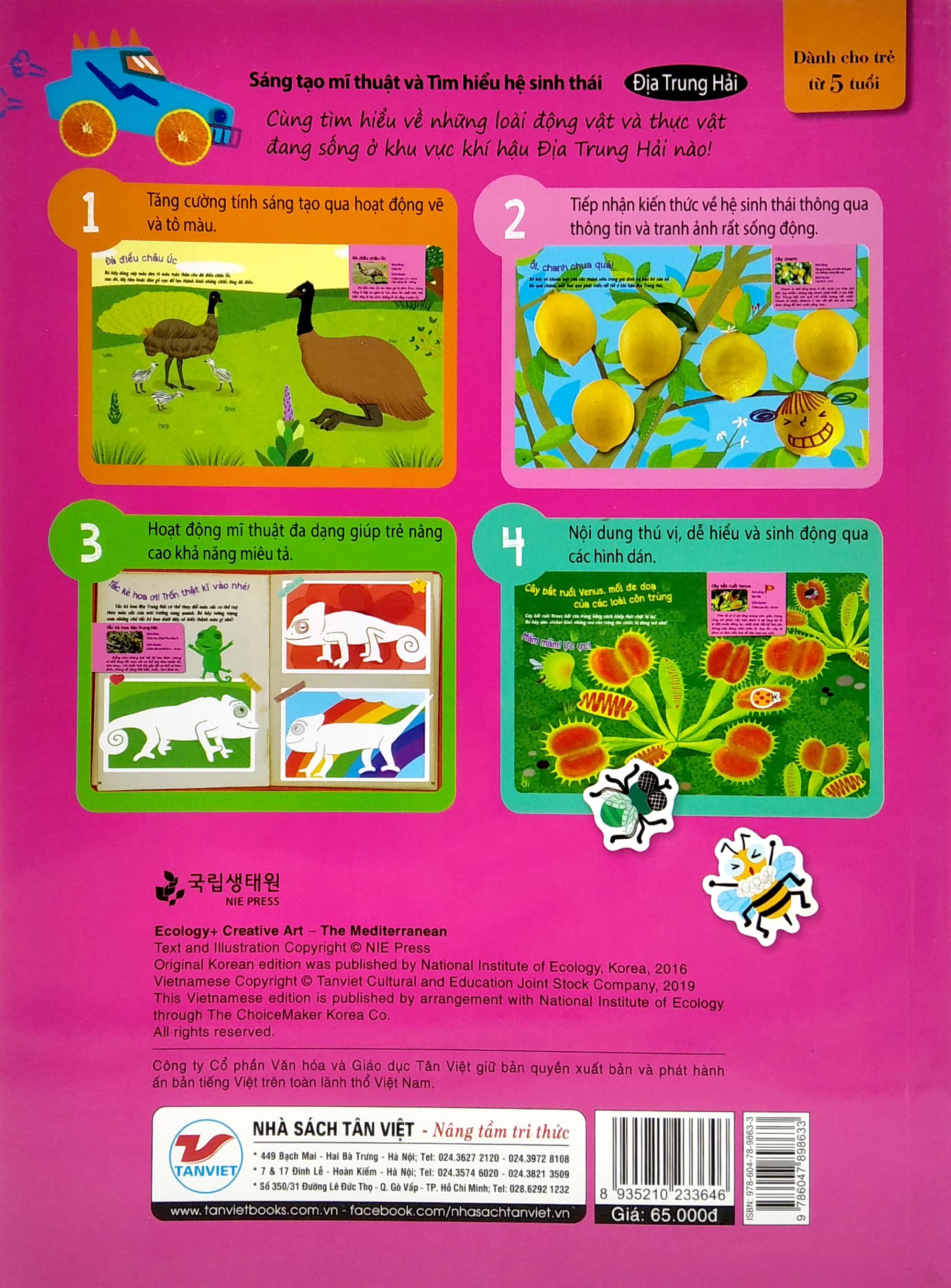 sáng tạo mĩ thuật và tìm hiểu hệ sinh thái: địa trung hải