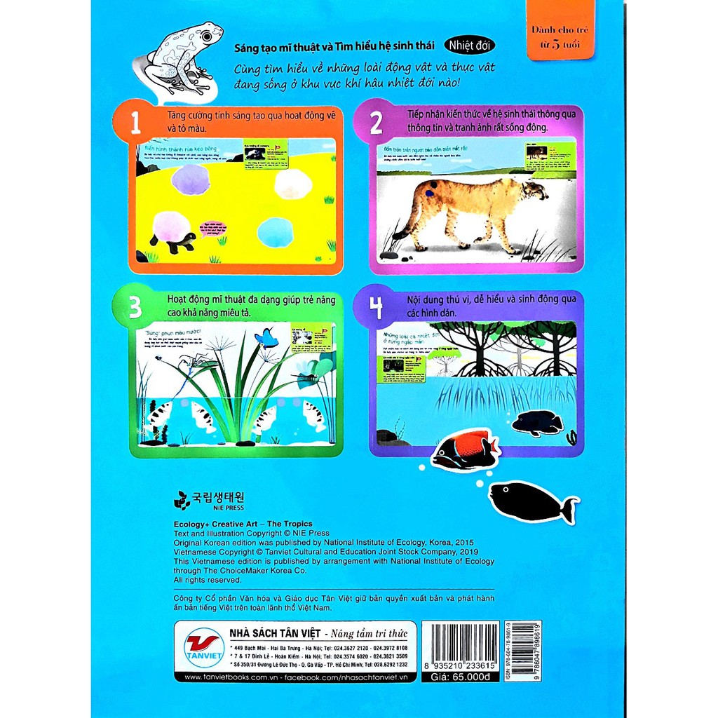 sáng tạo mĩ thuật và tìm hiểu hệ sinh thái: nhiệt đới