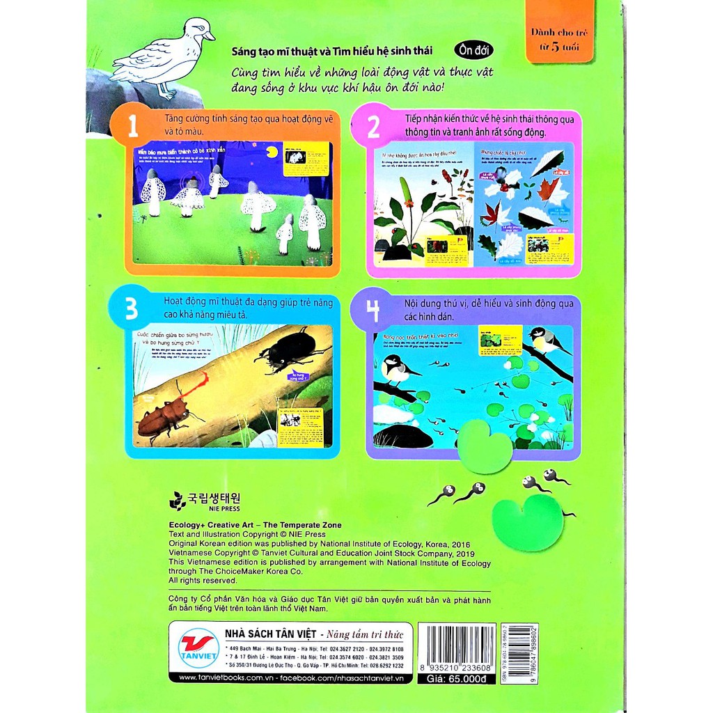 sáng tạo mĩ thuật và tìm hiểu hệ sinh thái: ôn đới