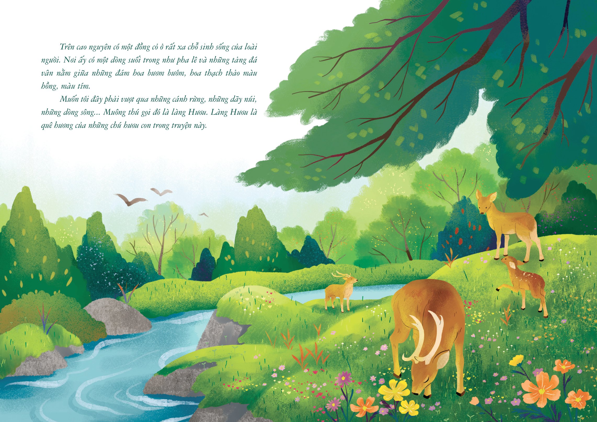 sao sao (tái bản 2024)