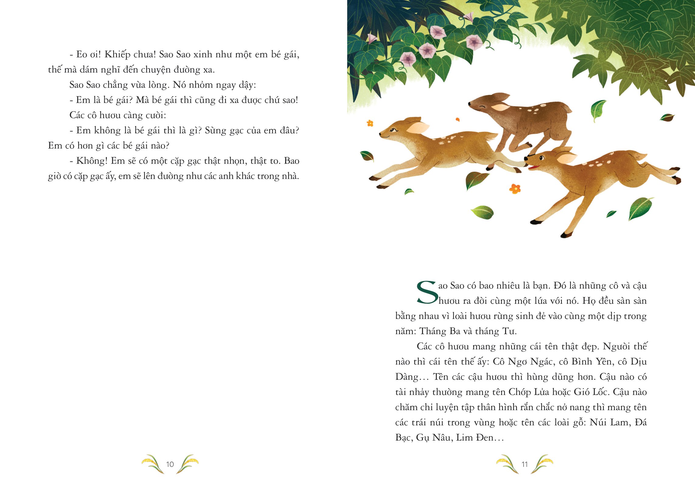 sao sao (tái bản 2024)